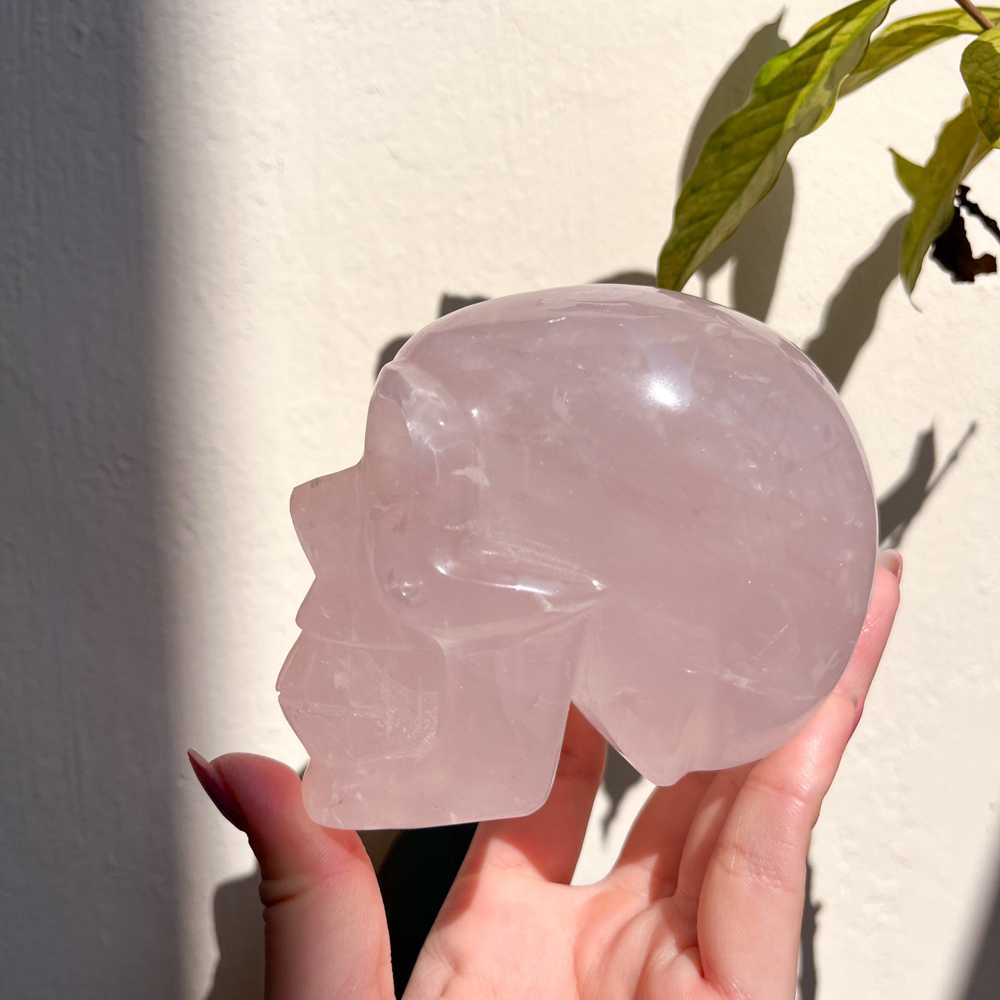 Rose Quartz Skull