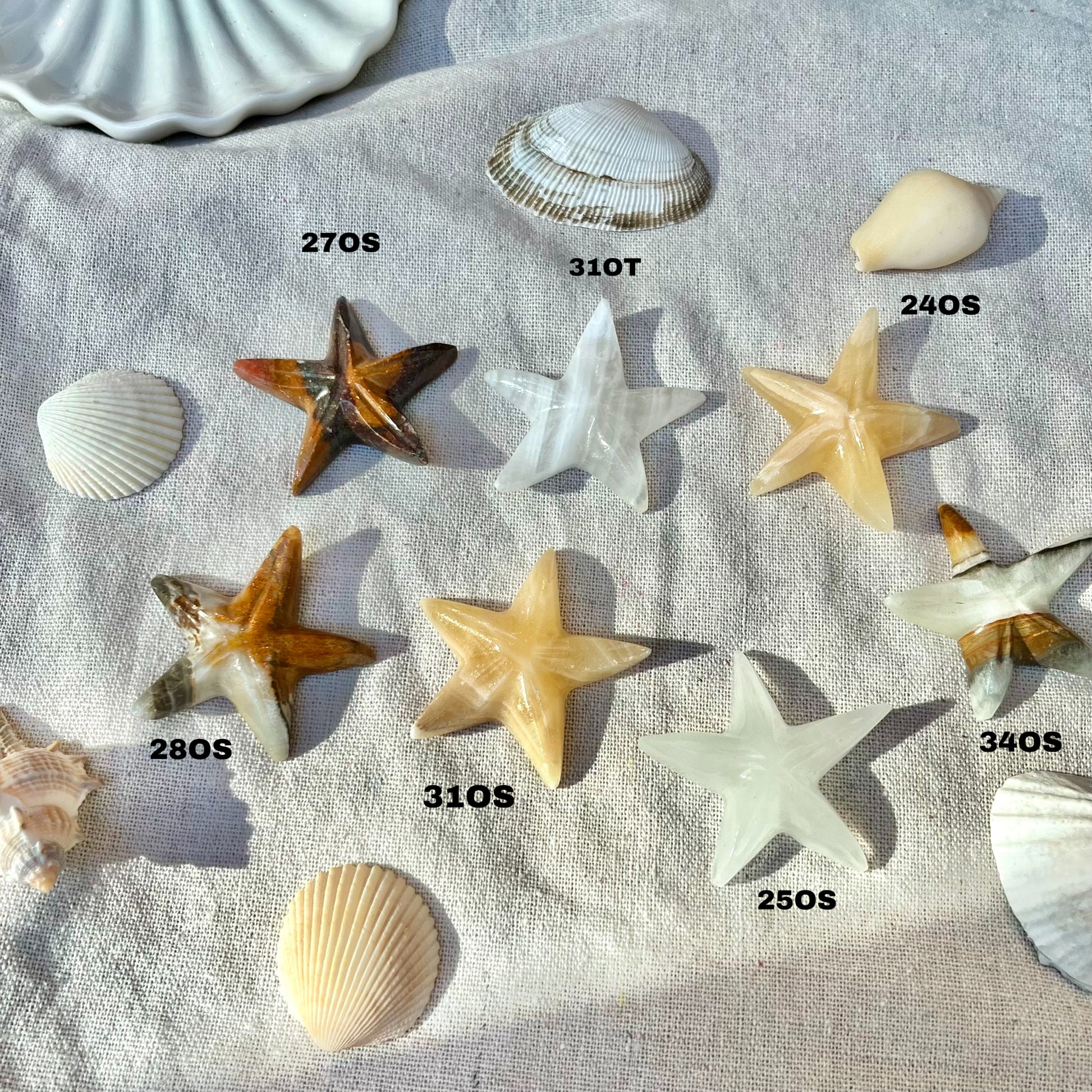 Mexican Onyx Starfish
