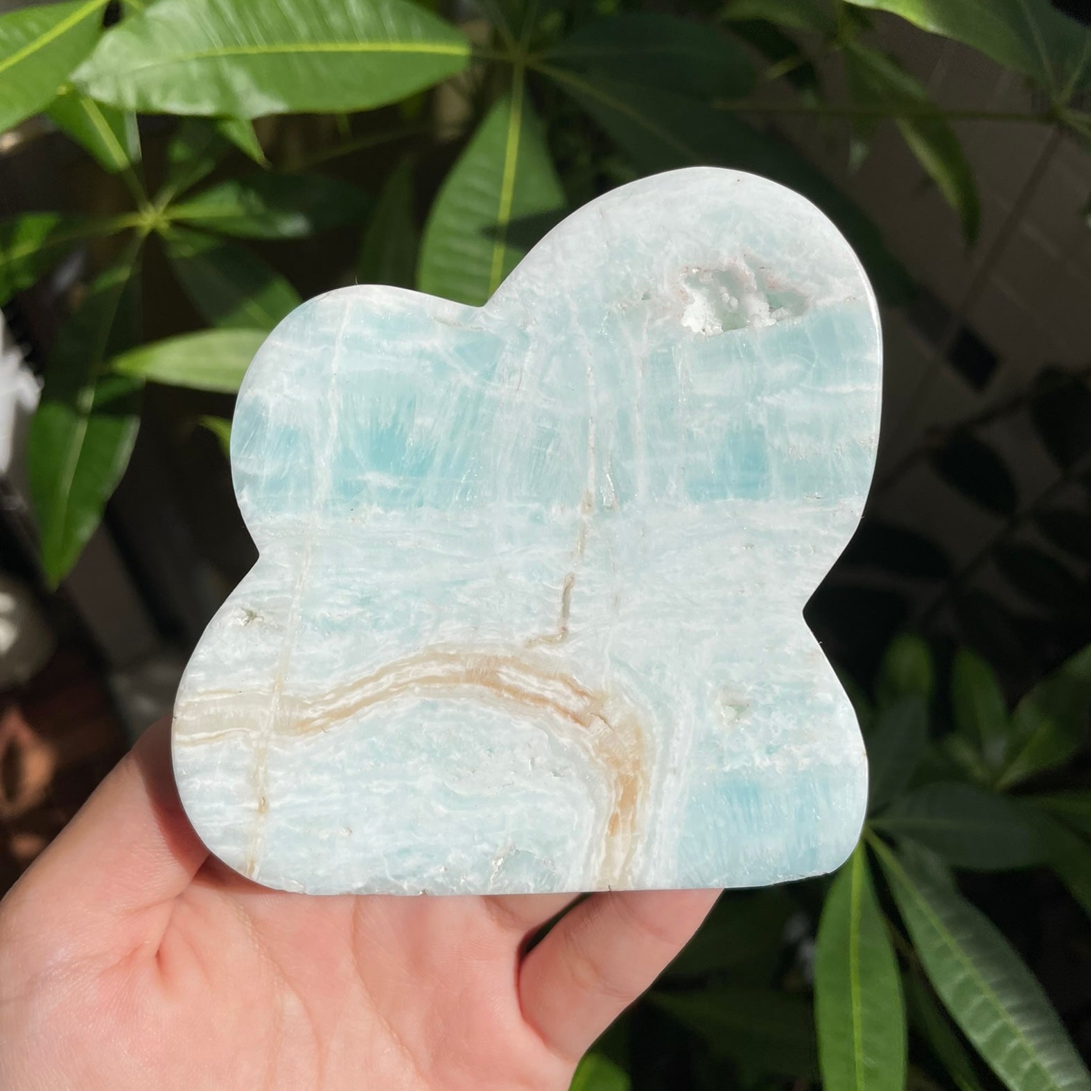 Caribbean Calcite Cloud C