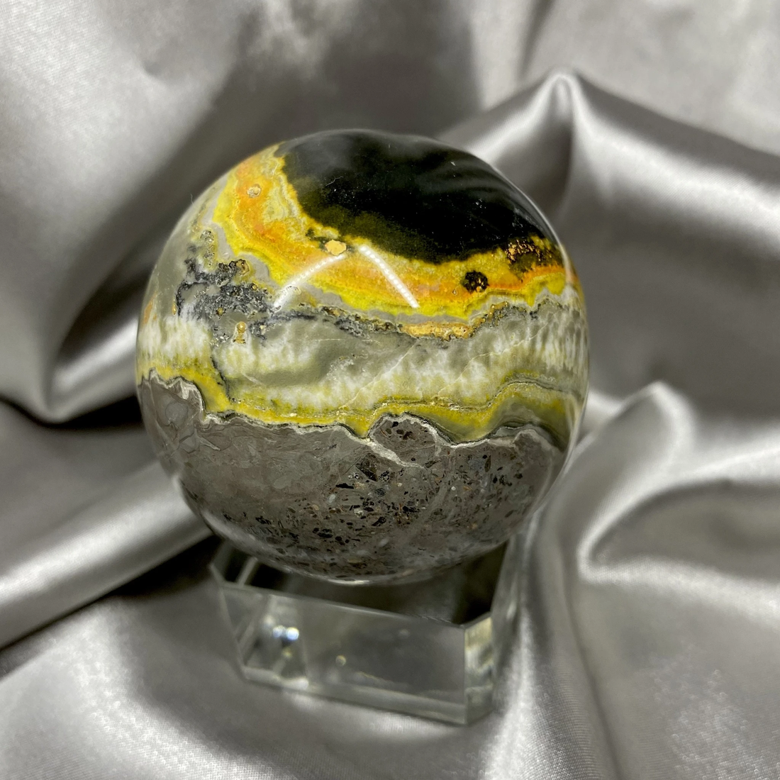 Bumblebee Jasper