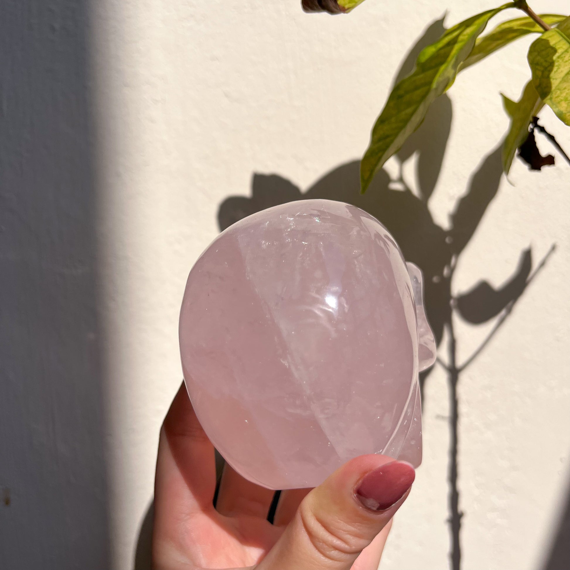 Rose Quartz Skull
