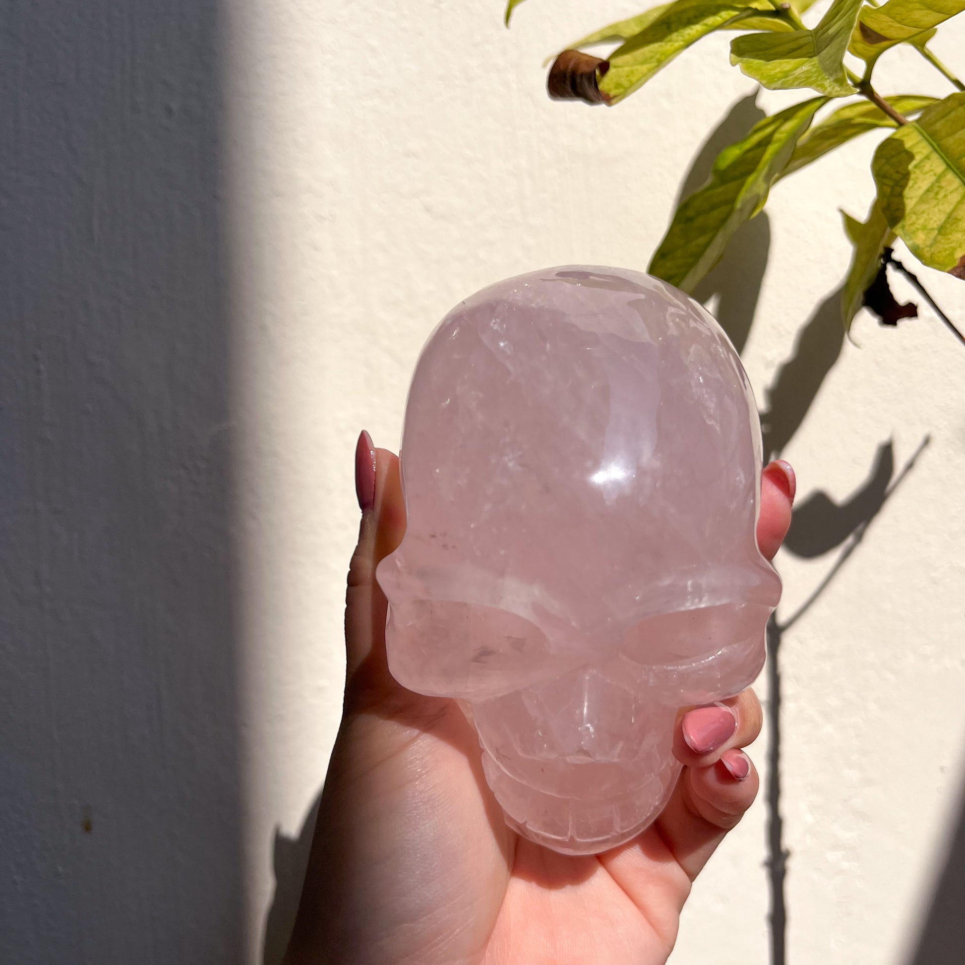 Rose Quartz Skull