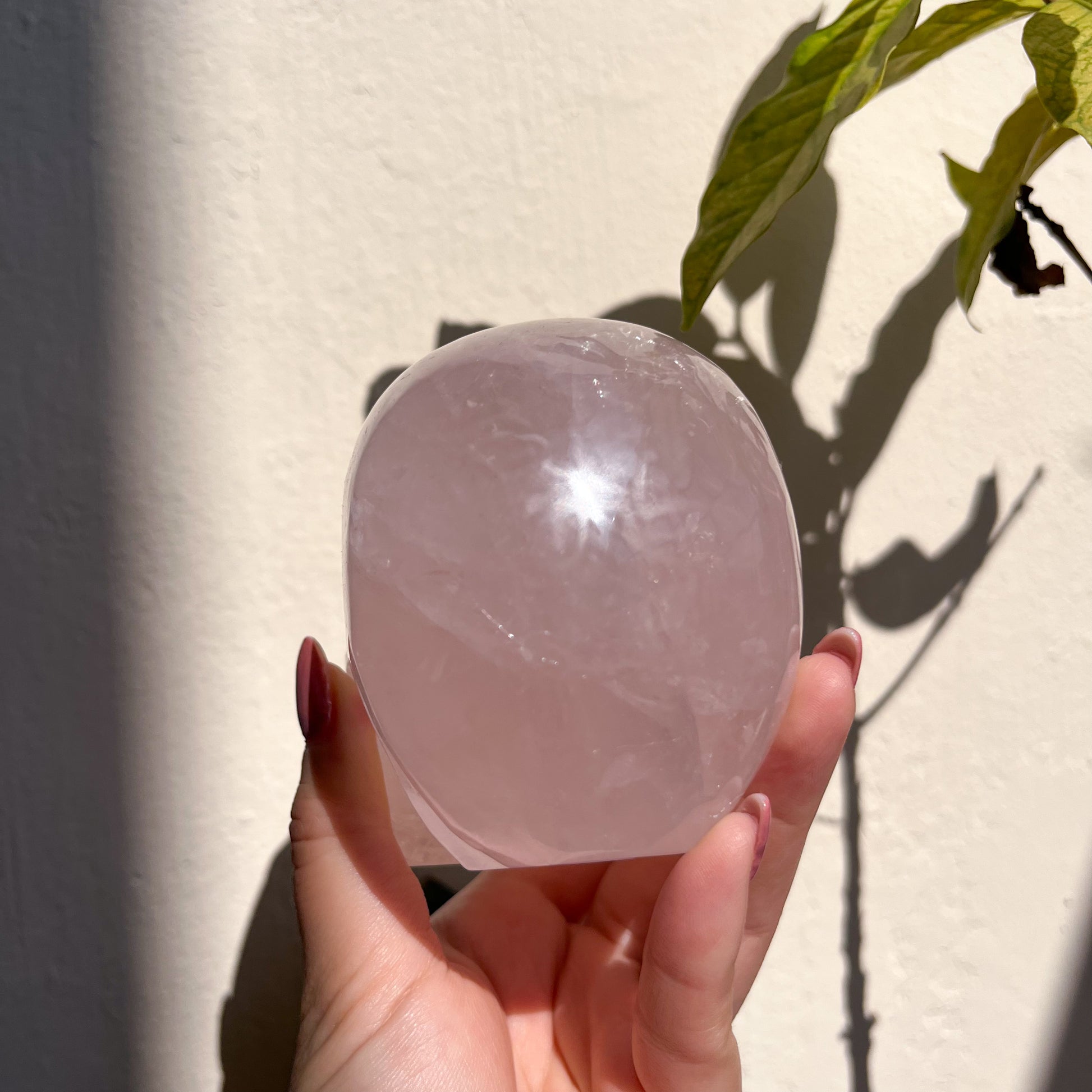 Rose Quartz Skull