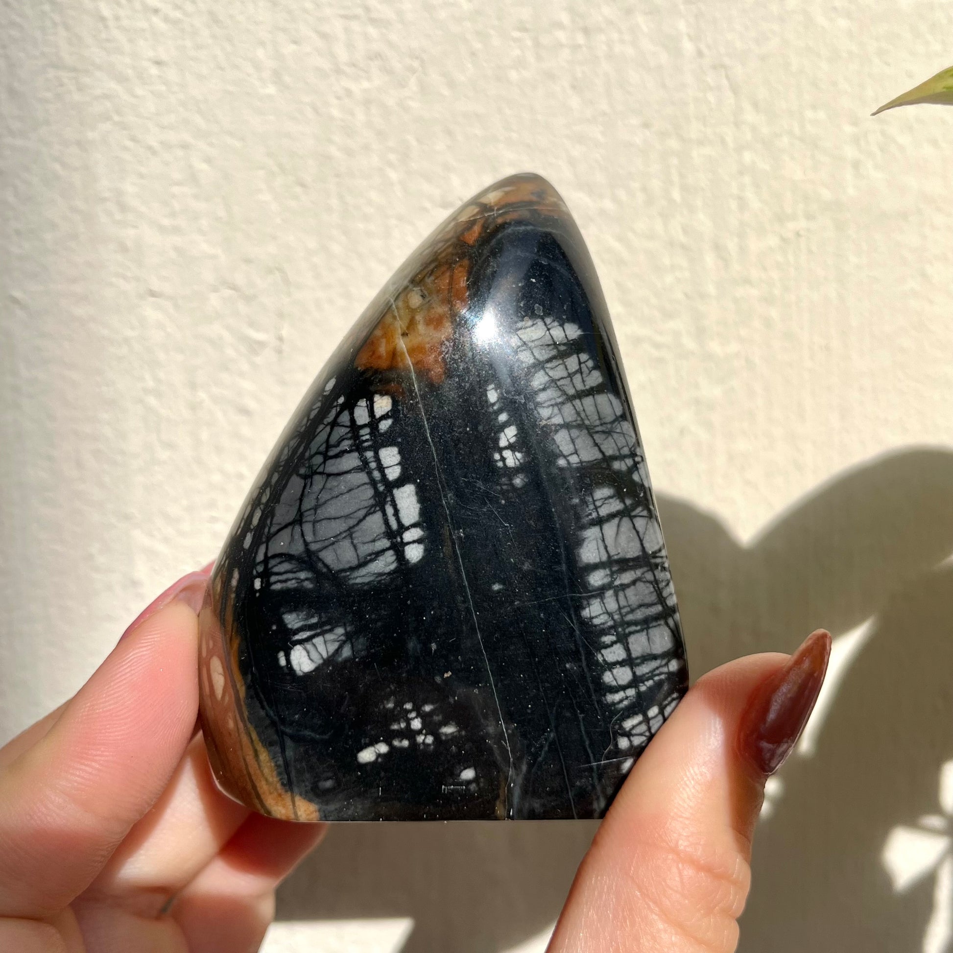 Utah Picasso Jasper