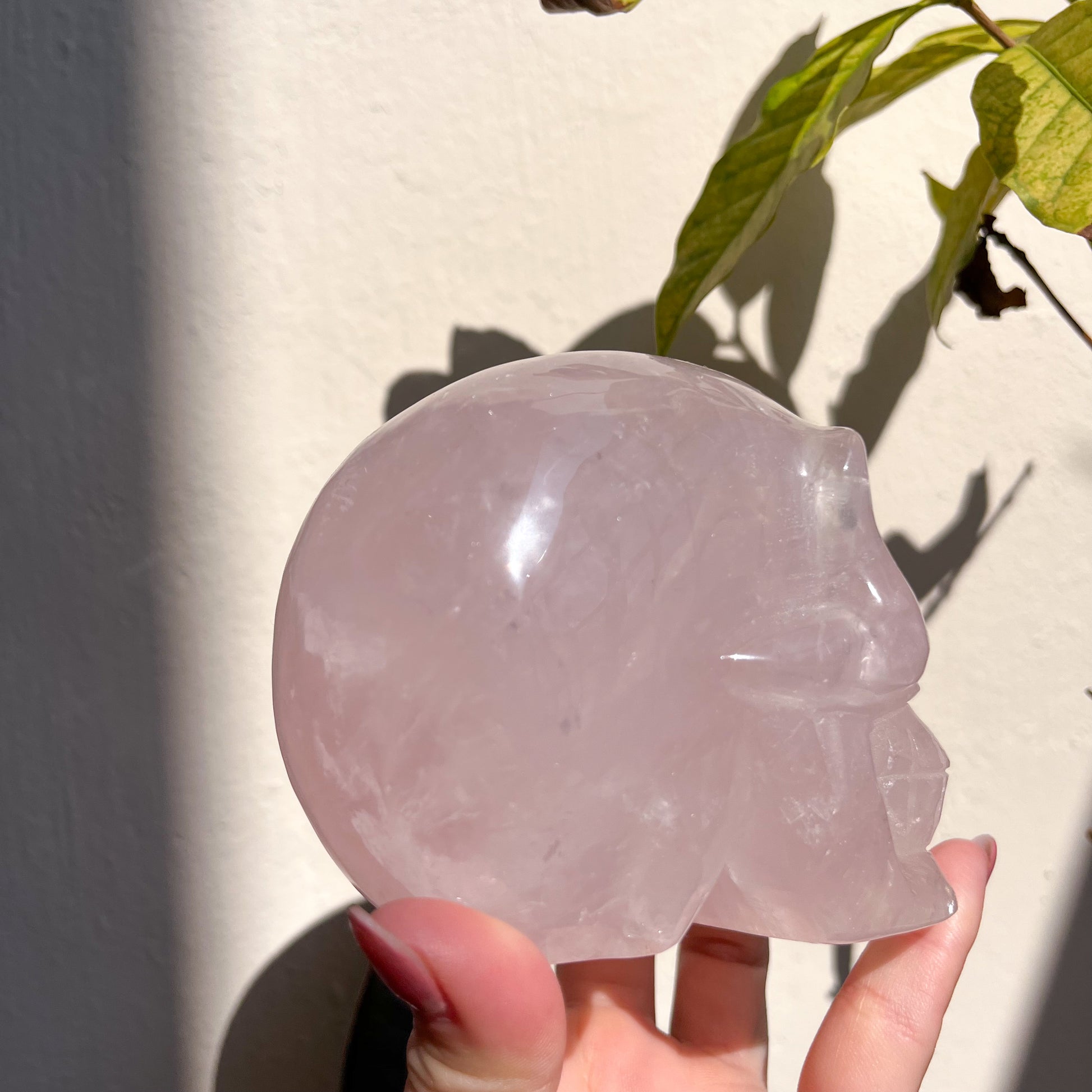 Rose Quartz Skull