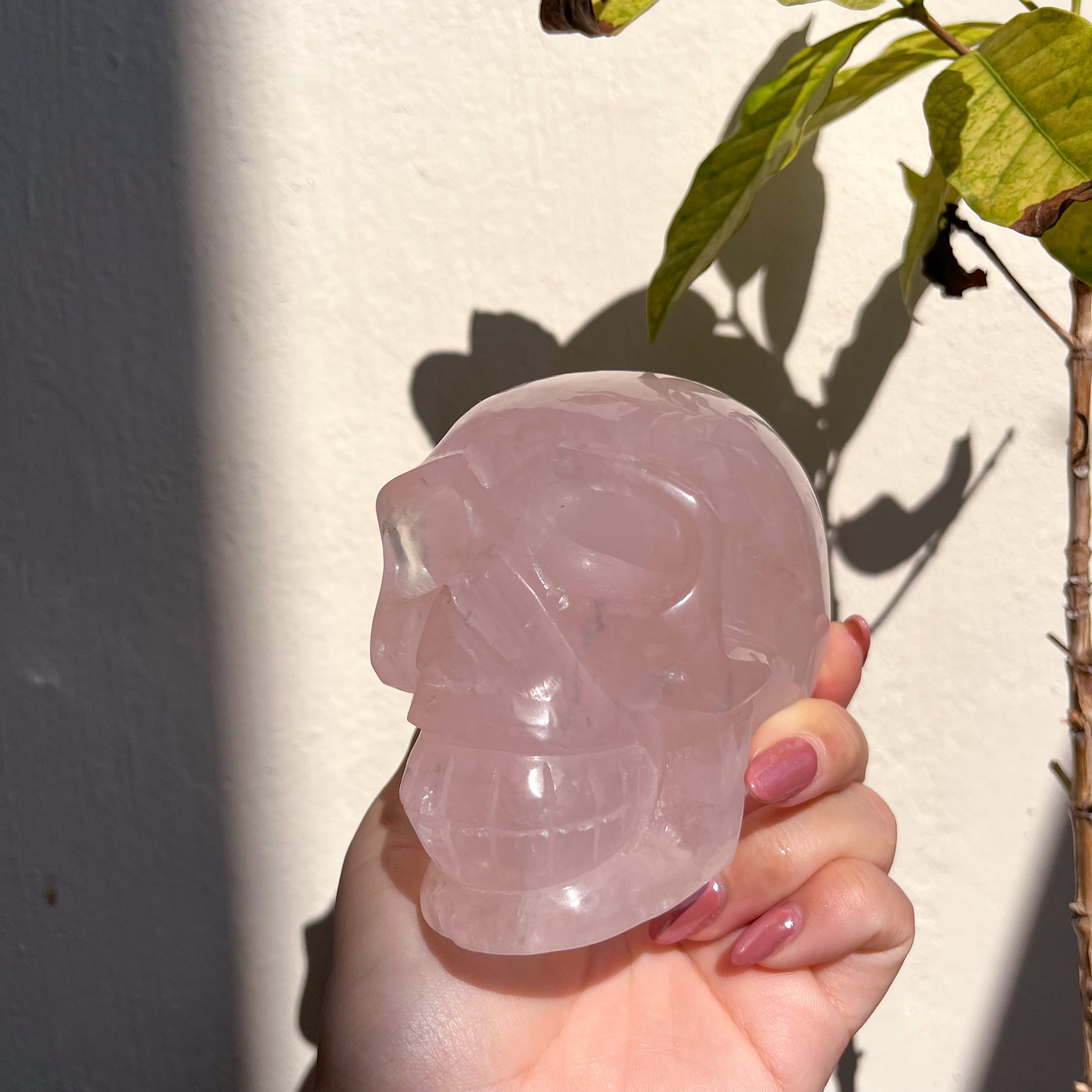 Rose Quartz Skull
