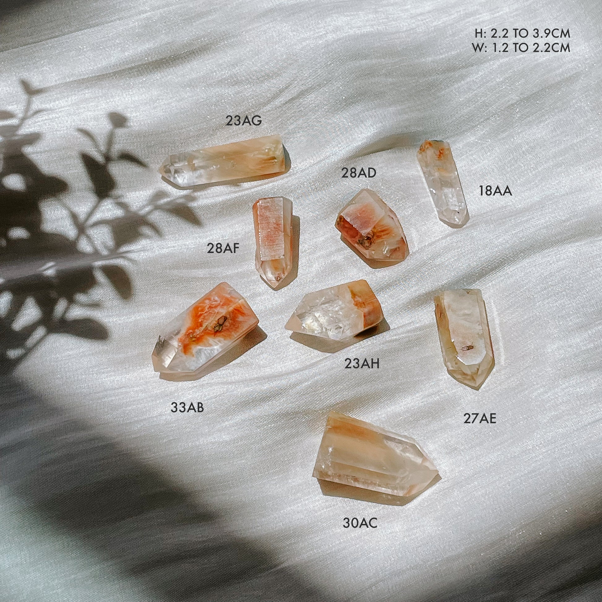 Amphibole Quartz Angel Phantom Quartz Points