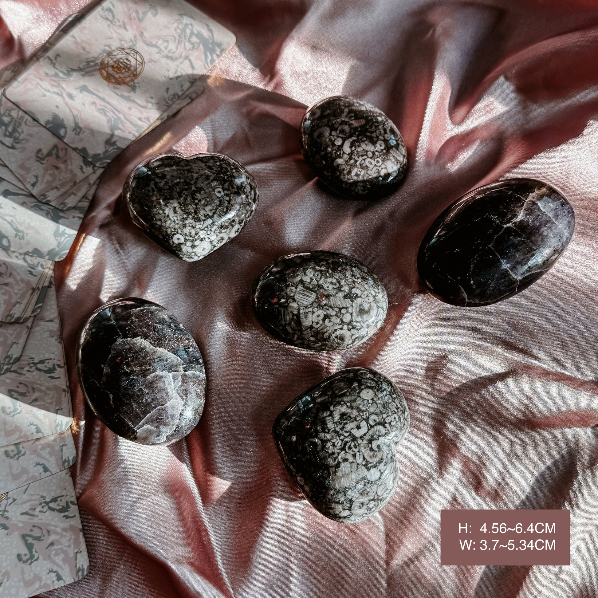 Crinoid Marble Fossil Hearts and Palms