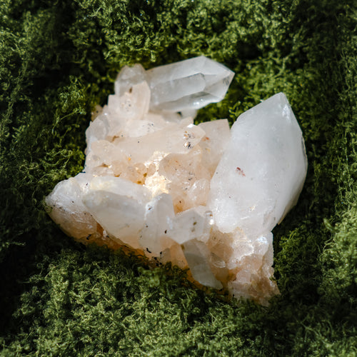 Himalayan Nirvana Record Keeper Quartz Cluster Large Point