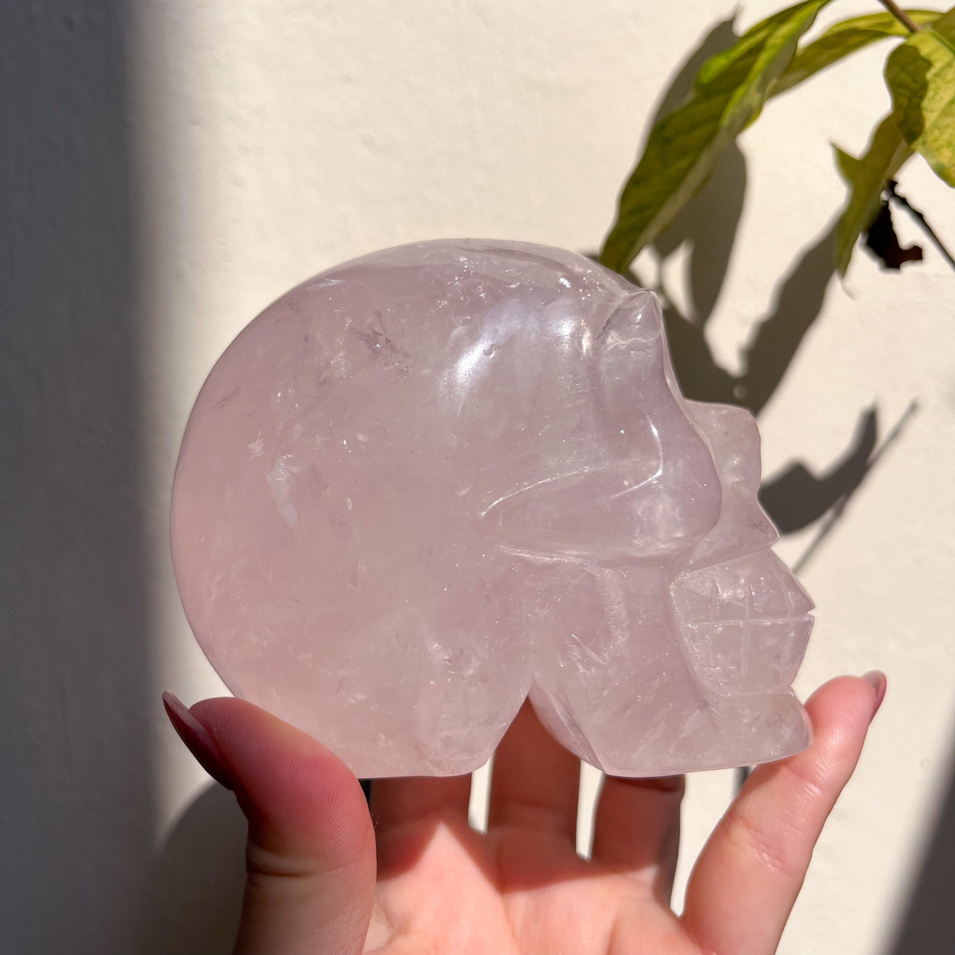 Rose Quartz Skull