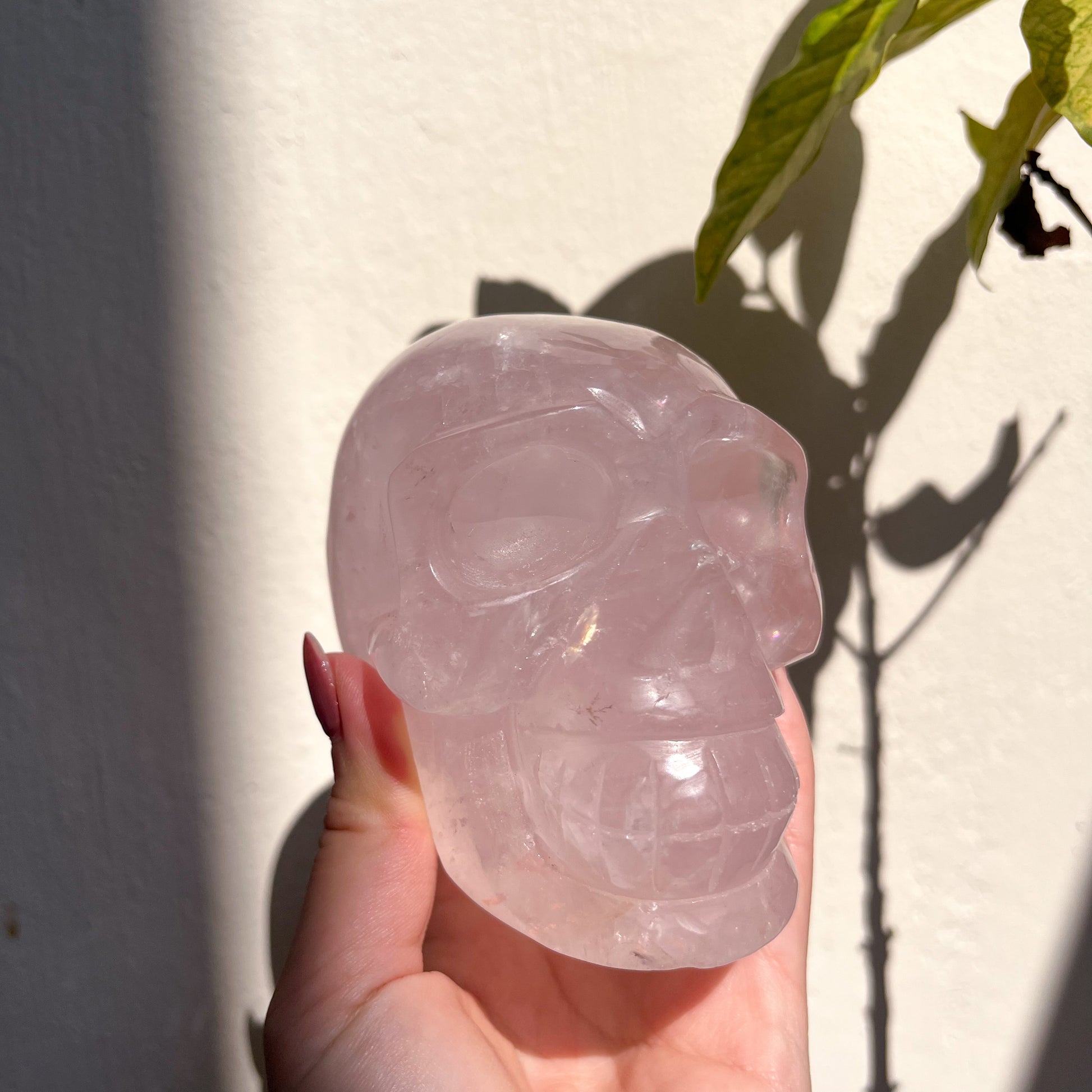 Rose Quartz Skull