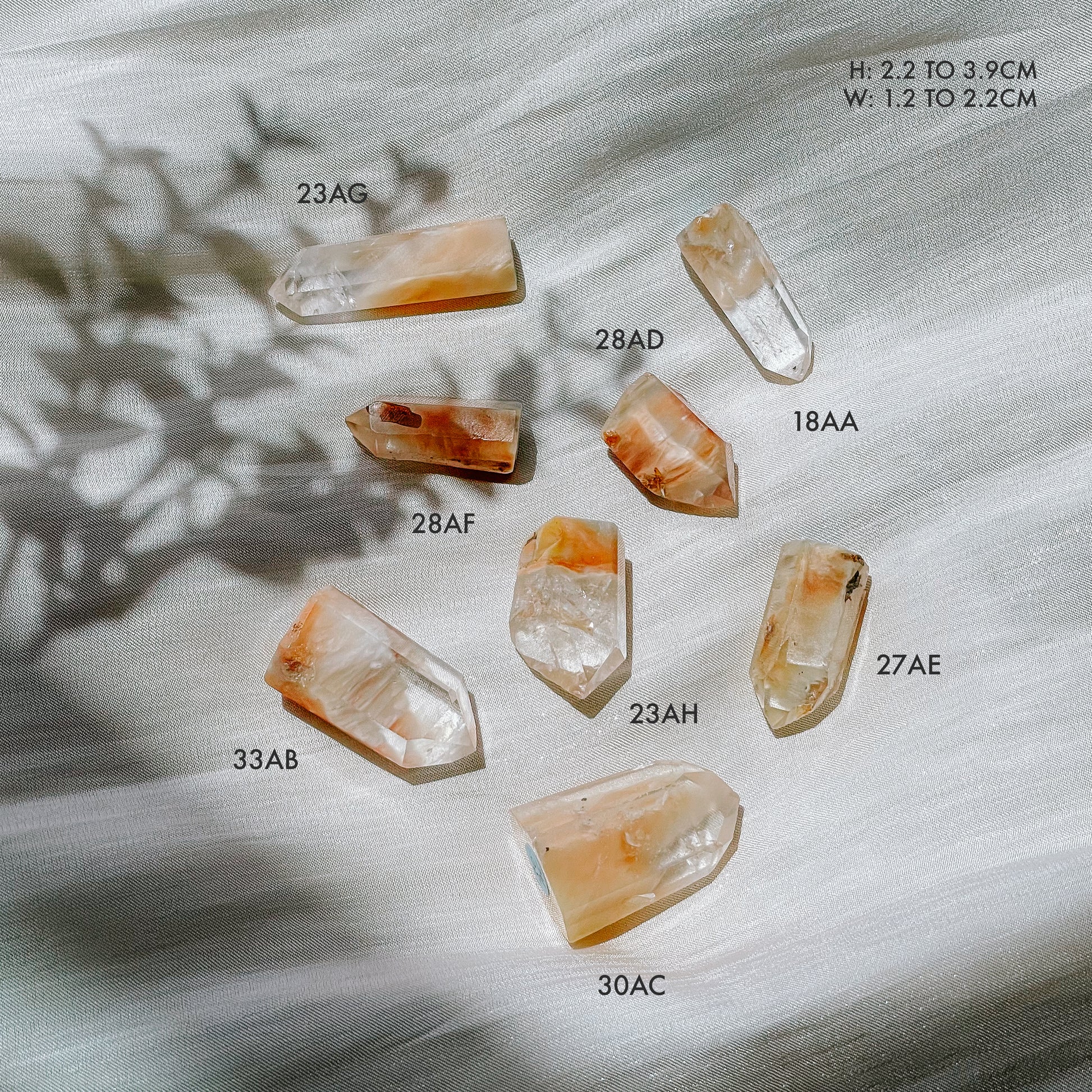 Amphibole Quartz Angel Phantom Quartz Points