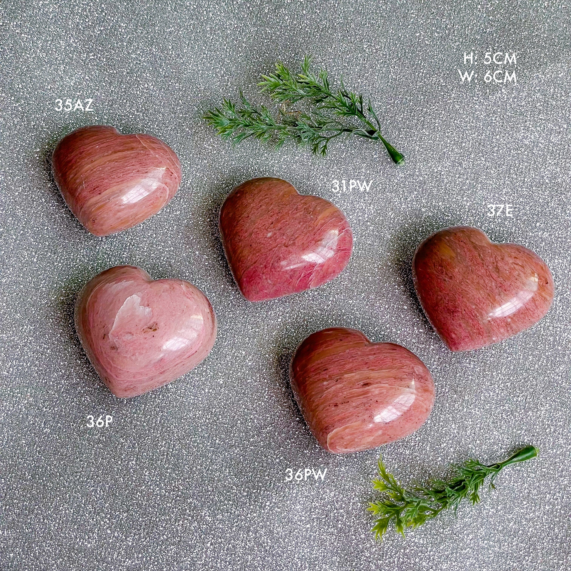 Australian Pink Petrified Wood Hearts