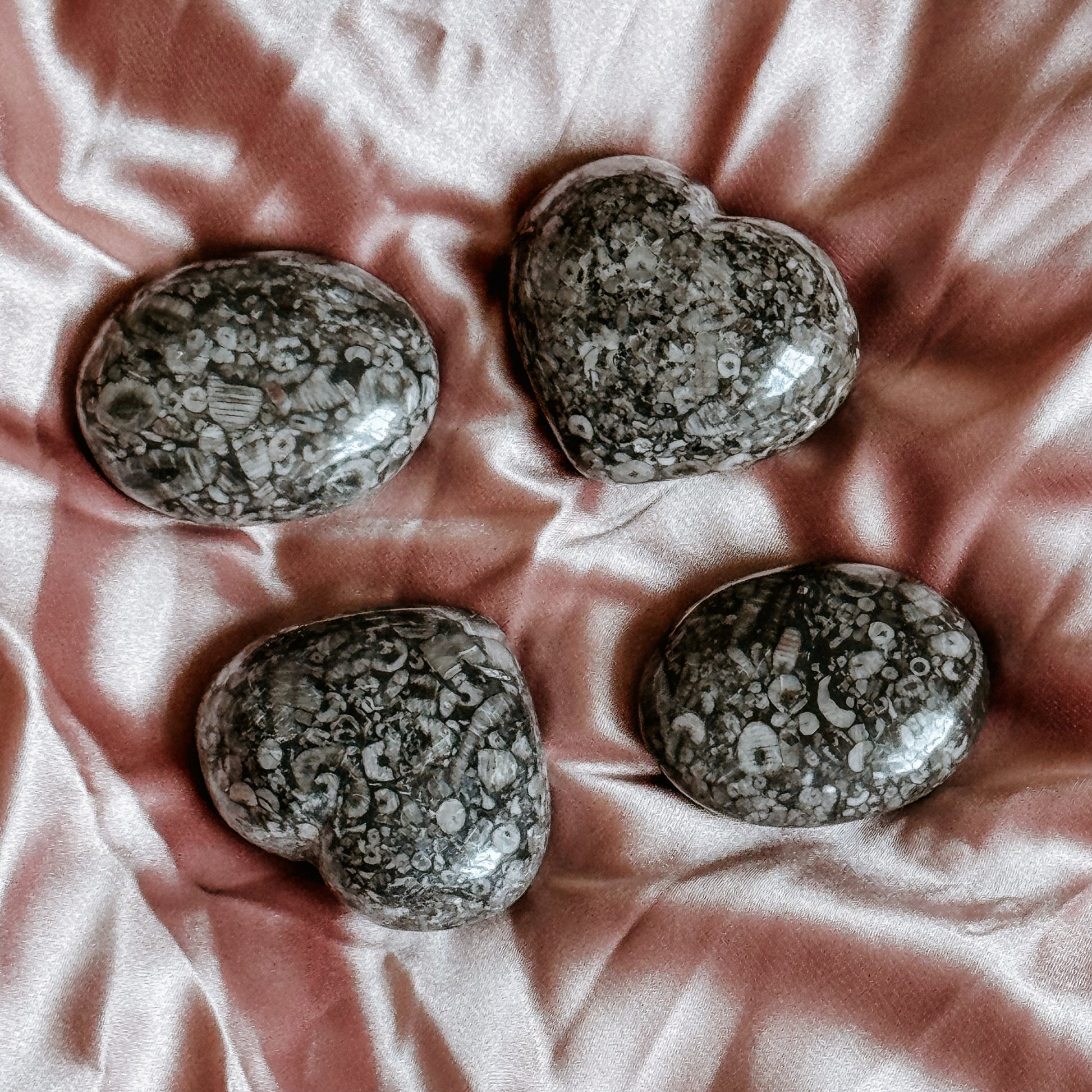 Crinoid Marble Fossil Hearts and Palms