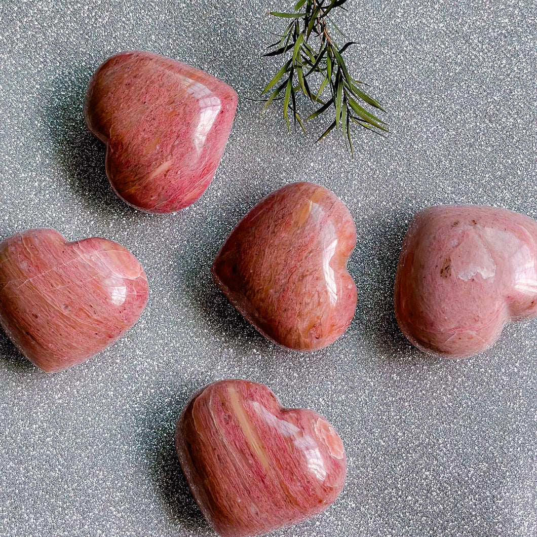 Australian Pink Petrified Wood Hearts