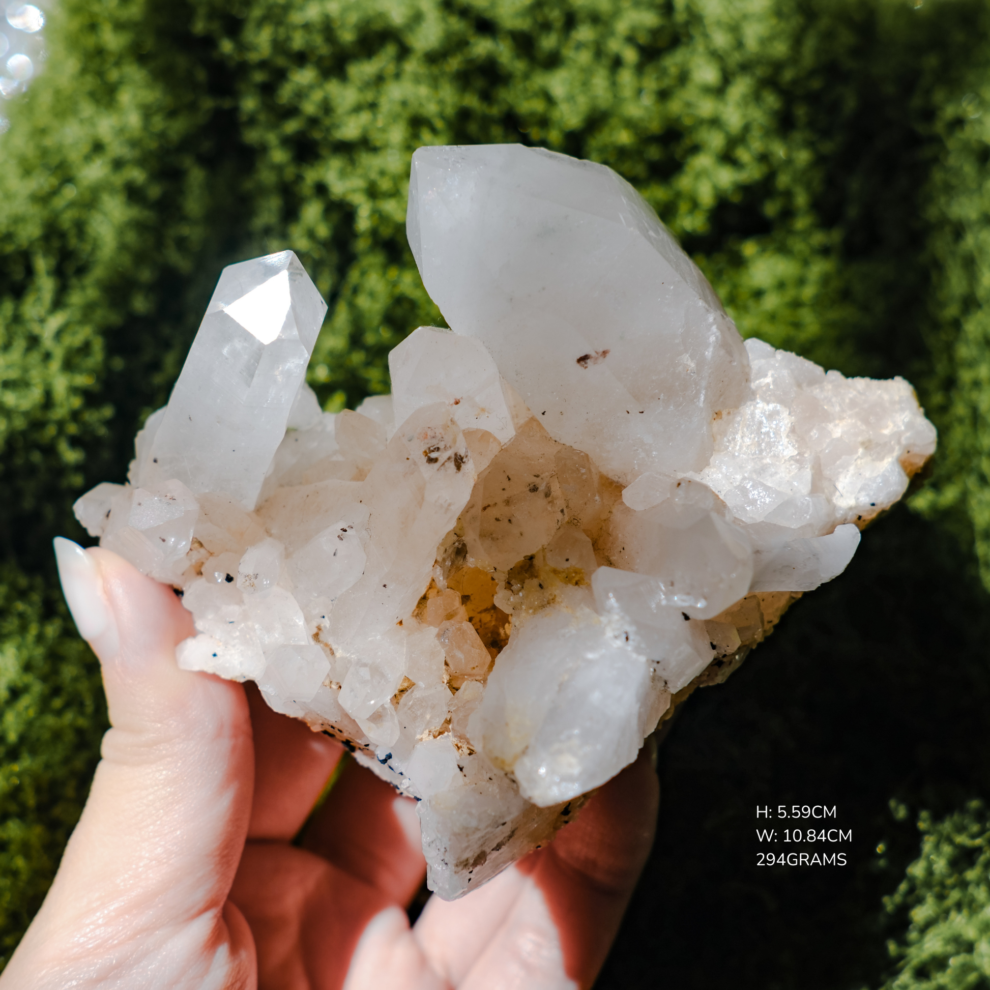 Himalayan Nirvana Record Keeper Quartz Cluster Large Point