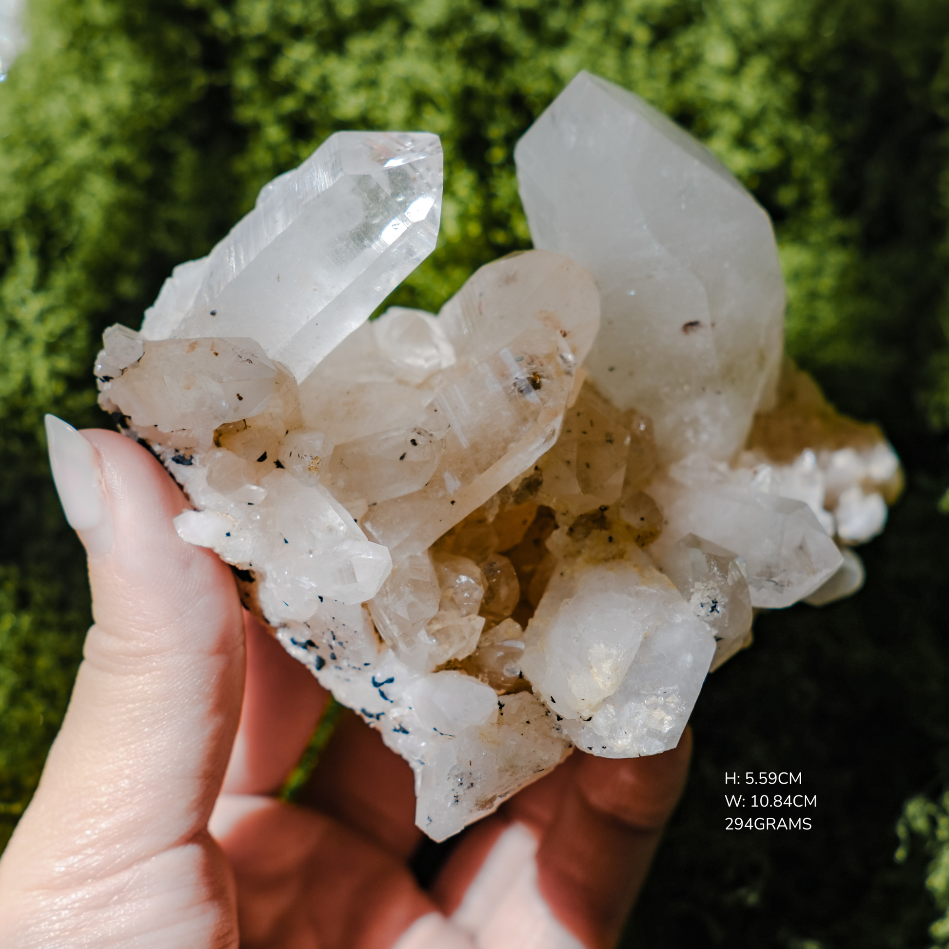 Himalayan Nirvana Record Keeper Quartz Cluster Large Point