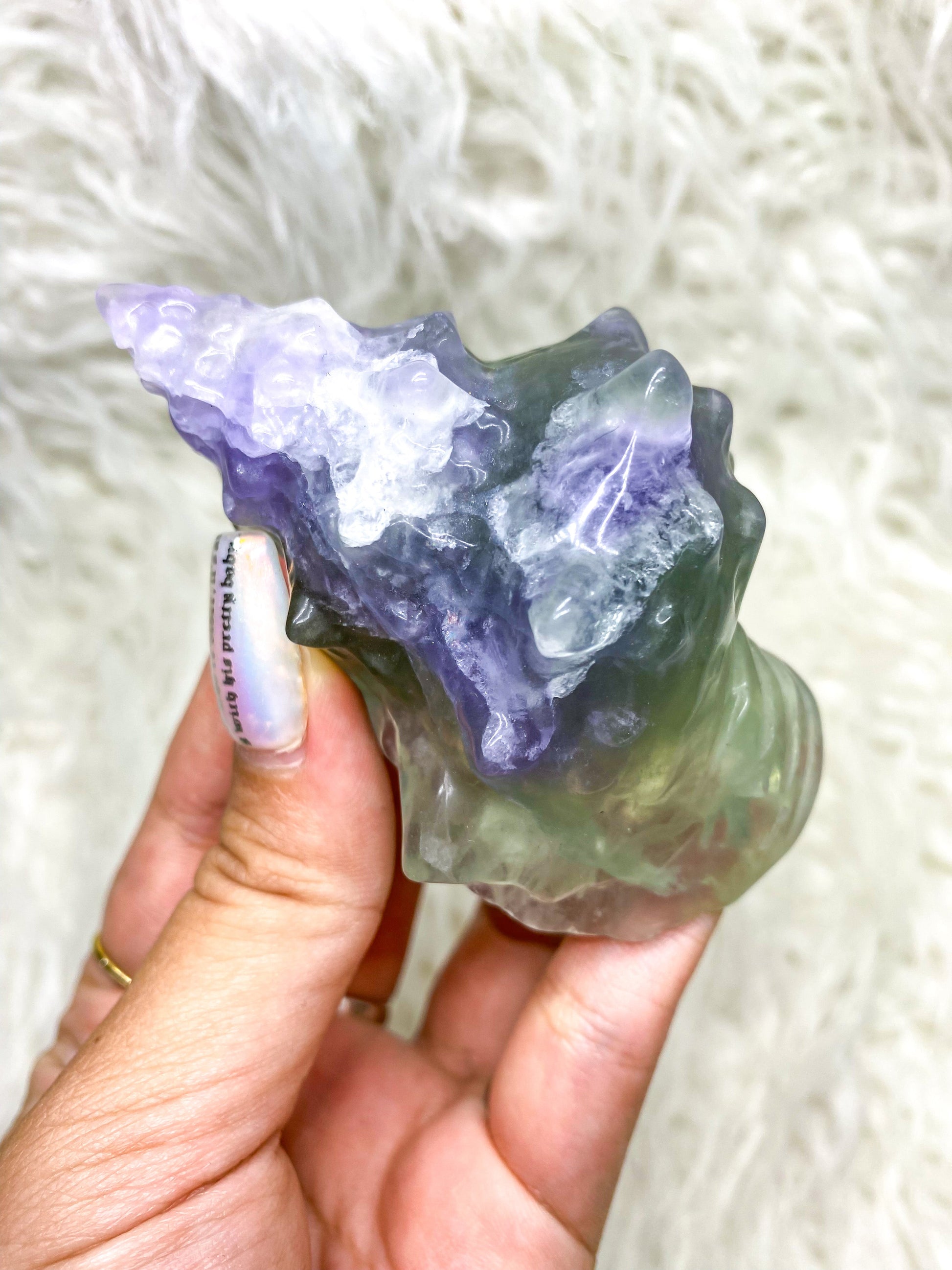 Carved Fluorite Seashells