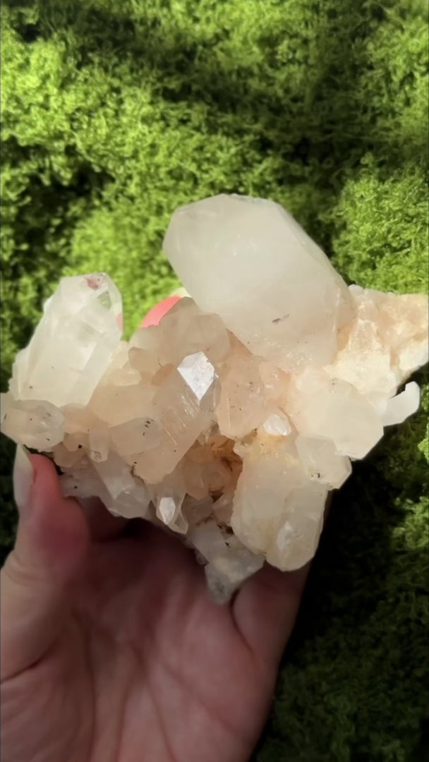 Himalayan Nirvana Record Keeper Quartz Cluster Large Point