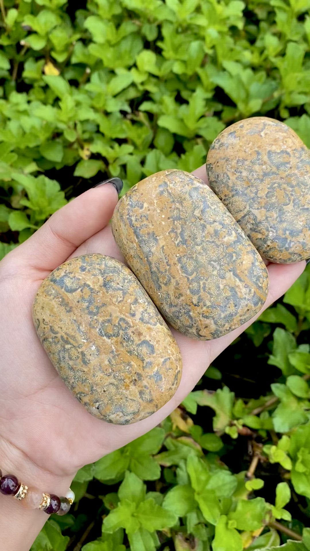 Leopard Skin Jasper Palmstone