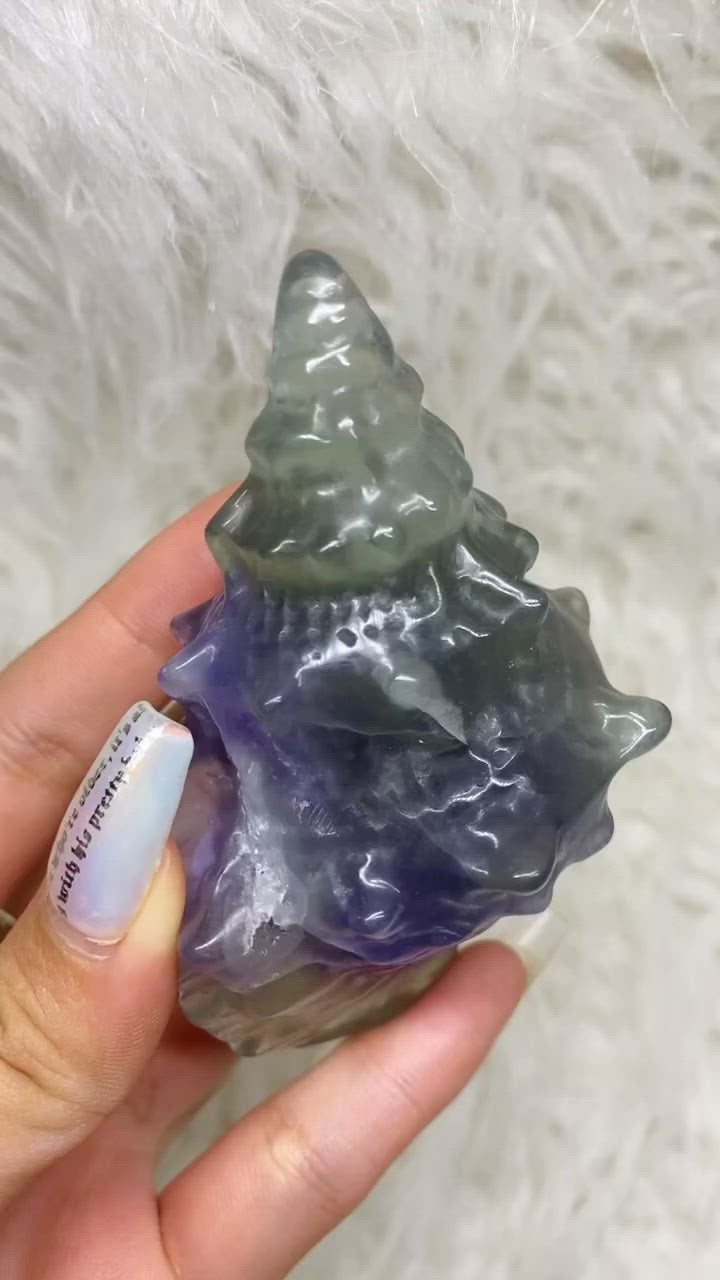 Carved Fluorite Seashells