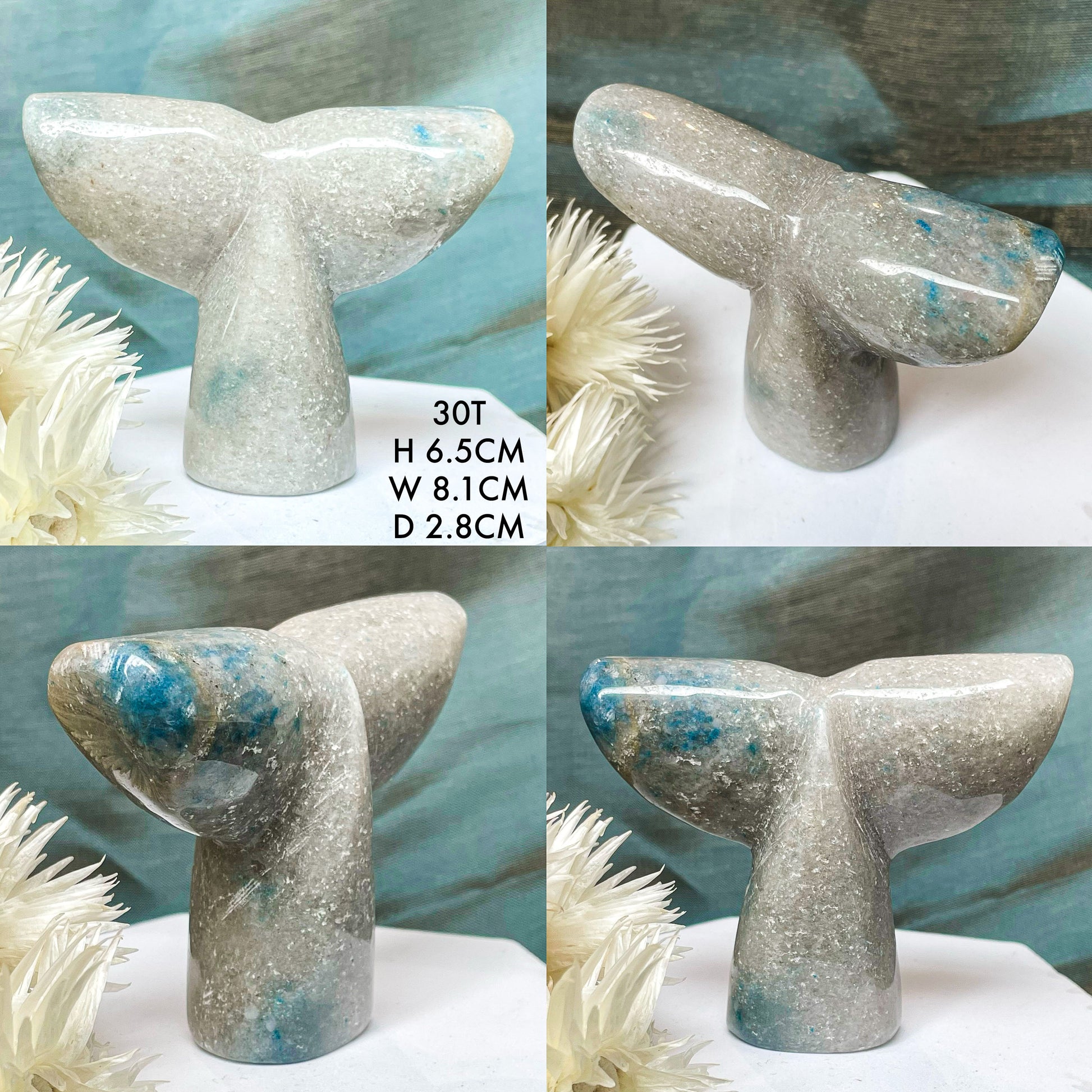 Trolleite Whale Tails