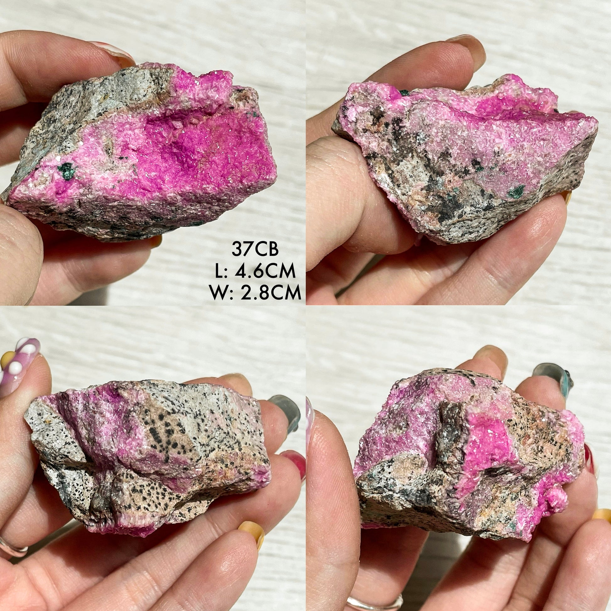 Druzy Cobaltoan Calcite