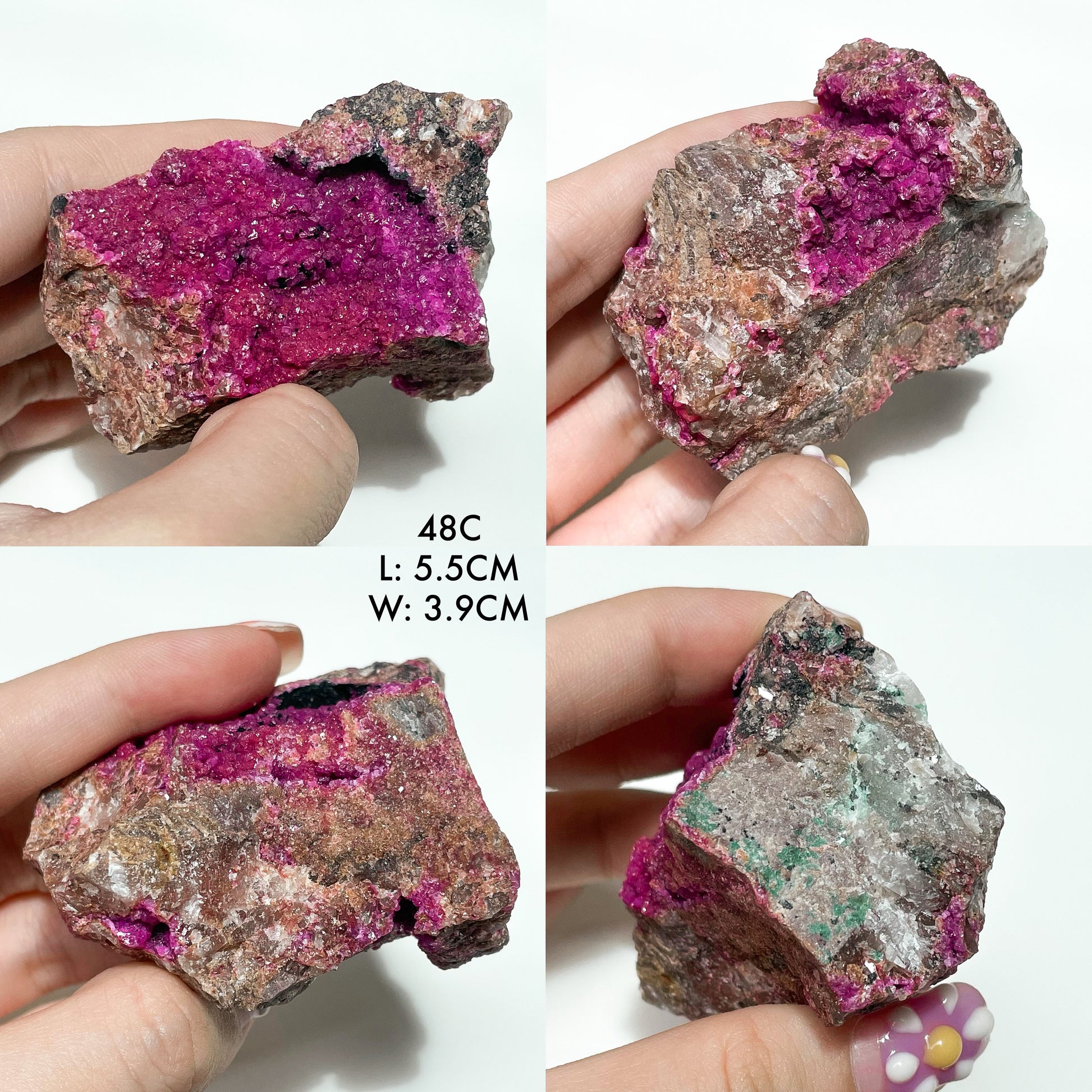 Druzy Cobaltoan Calcite