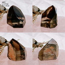 Load image into Gallery viewer, Polished Smoky Garden Quartz with Lodolite Towers
