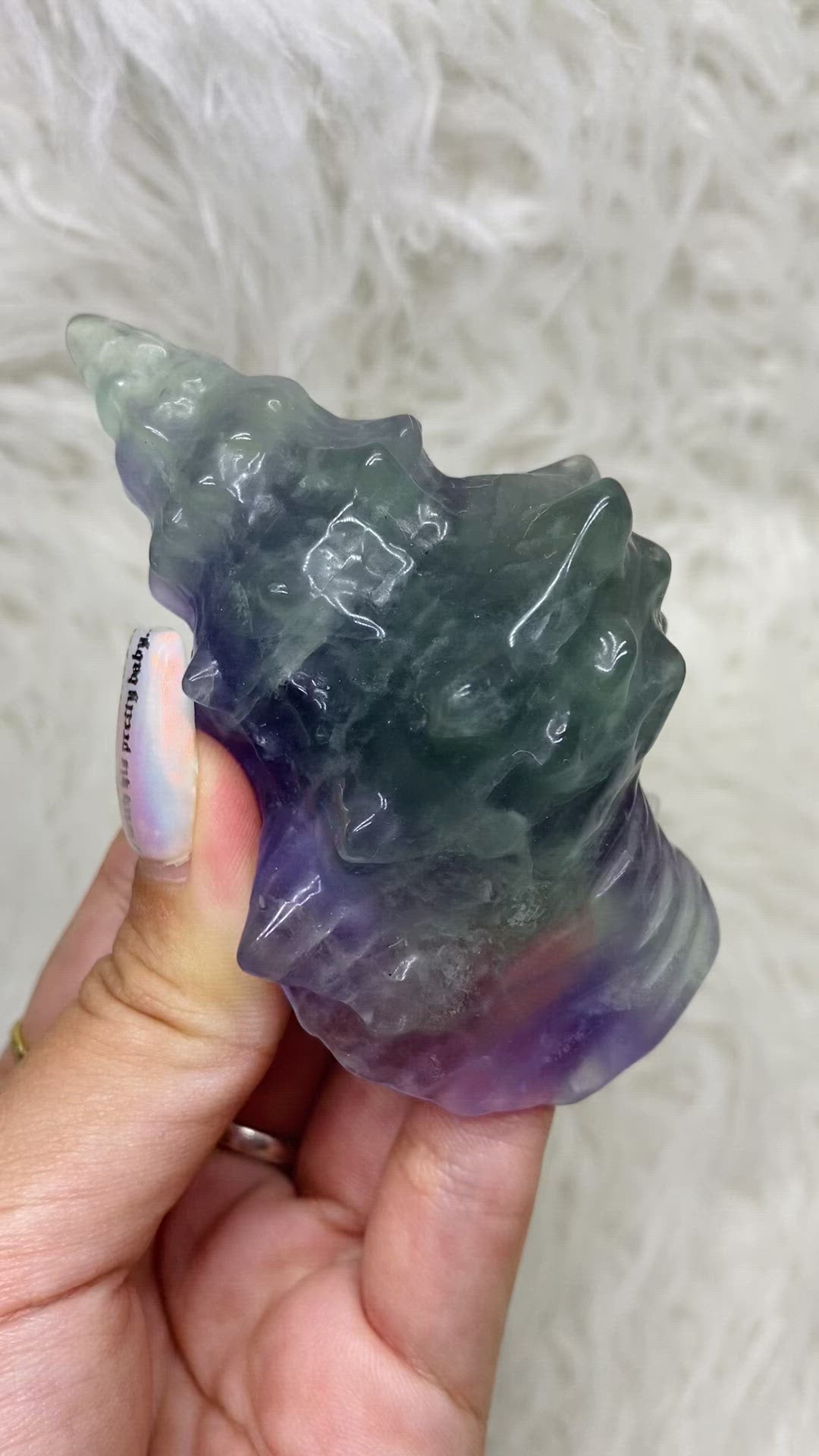 Carved Fluorite Seashells