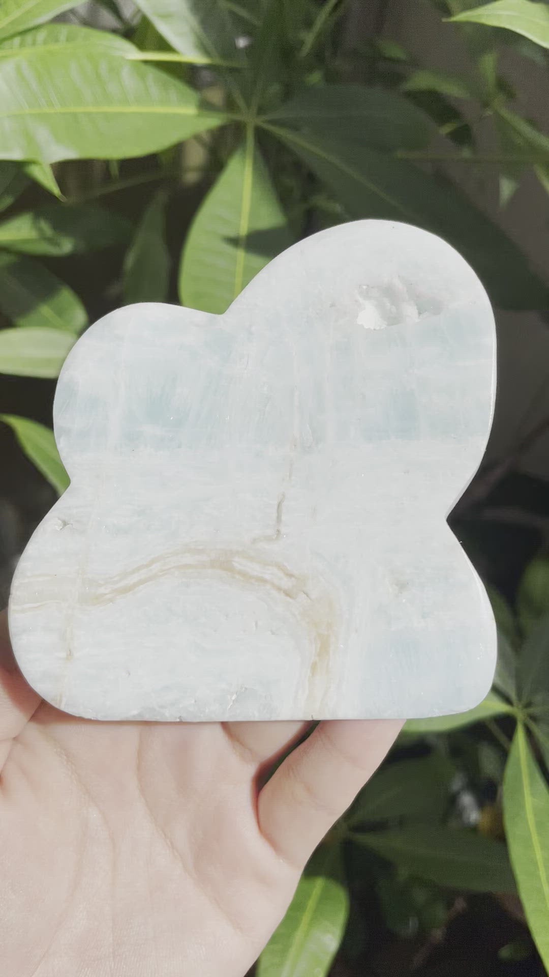 Caribbean Calcite Cloud C