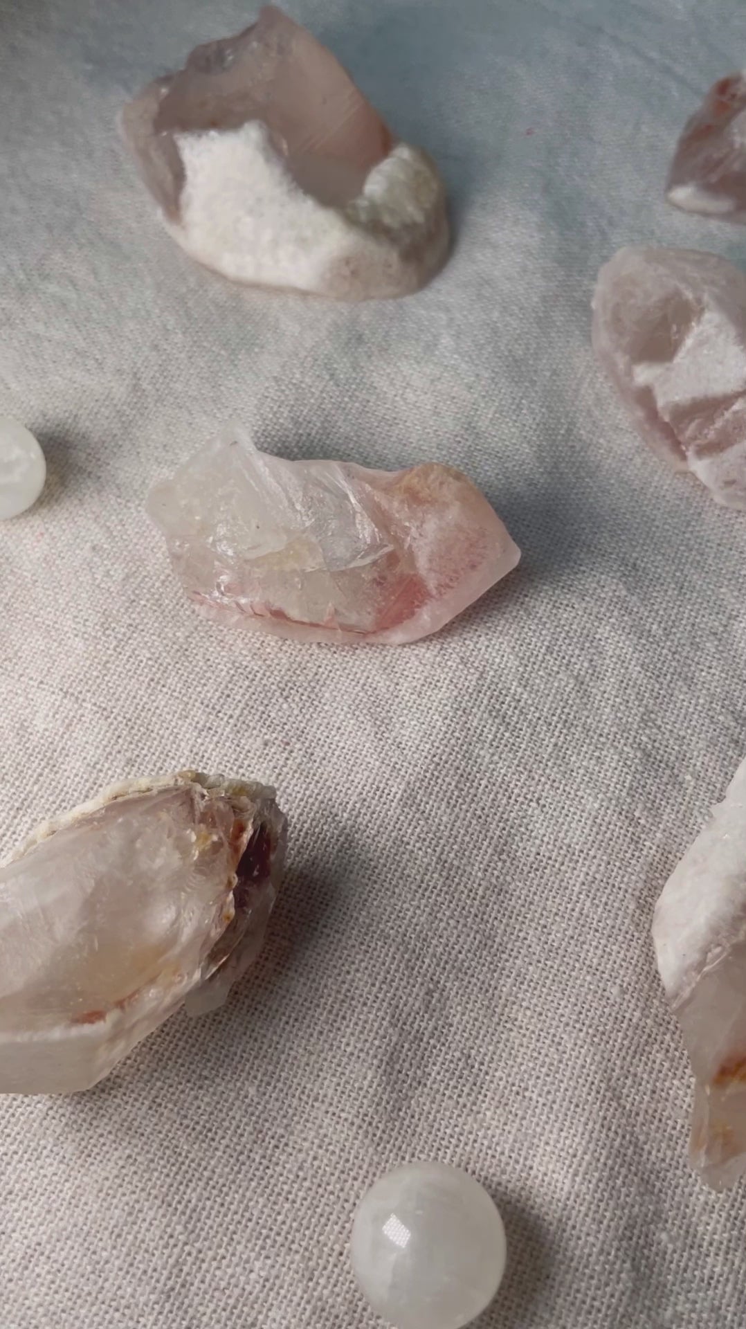 Rare Strawberry Dreamsicle Lemurian