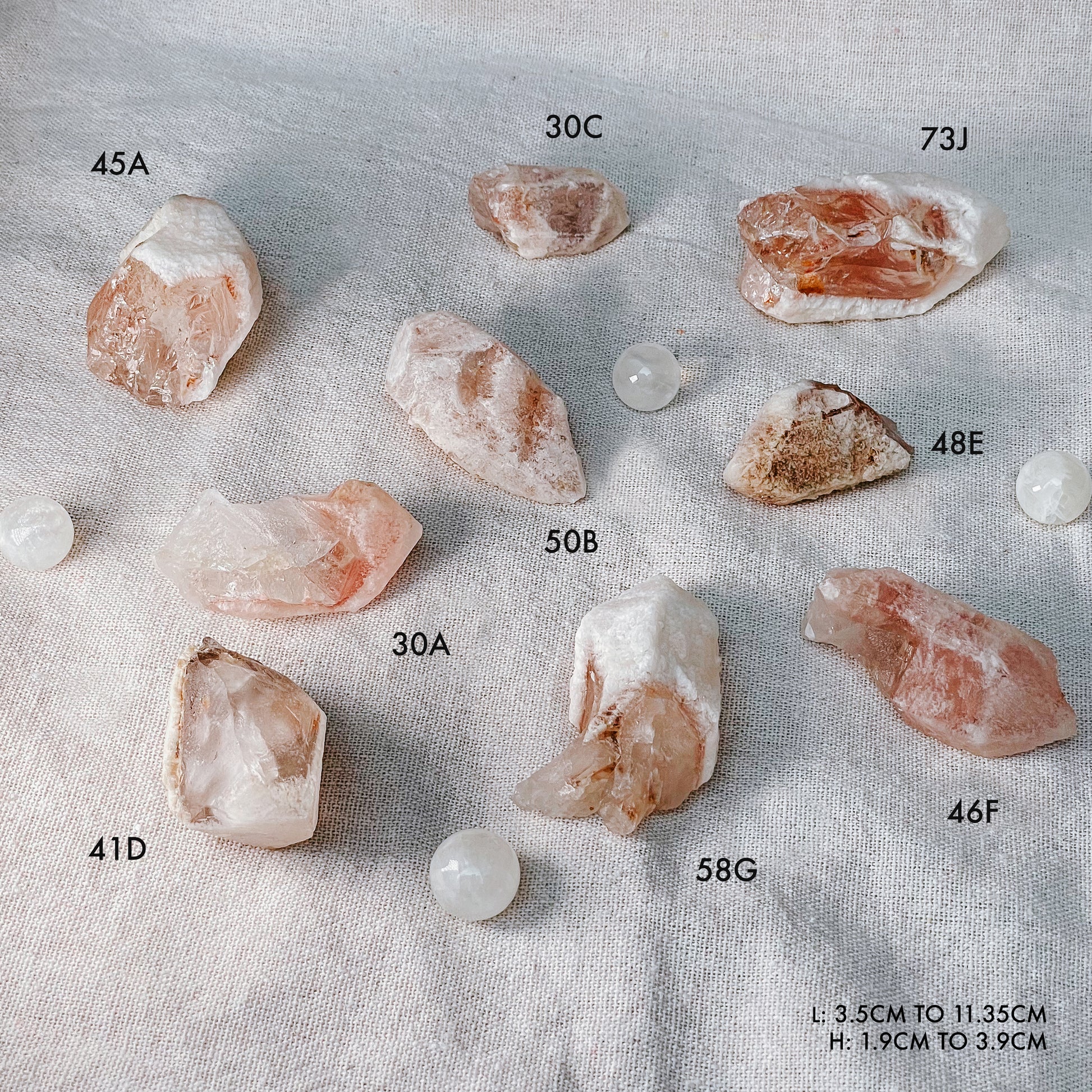 Rare Strawberry Dreamsicle Lemurian