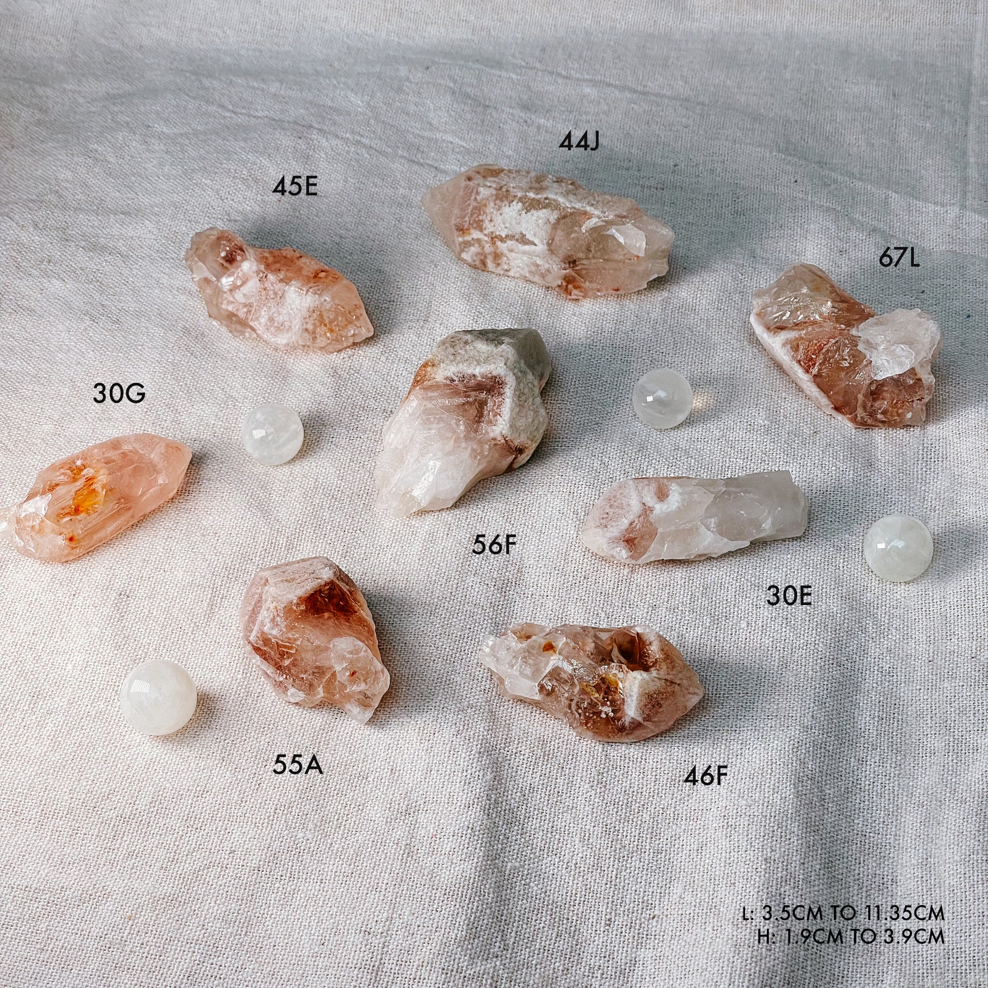 Rare Strawberry Dreamsicle Lemurian
