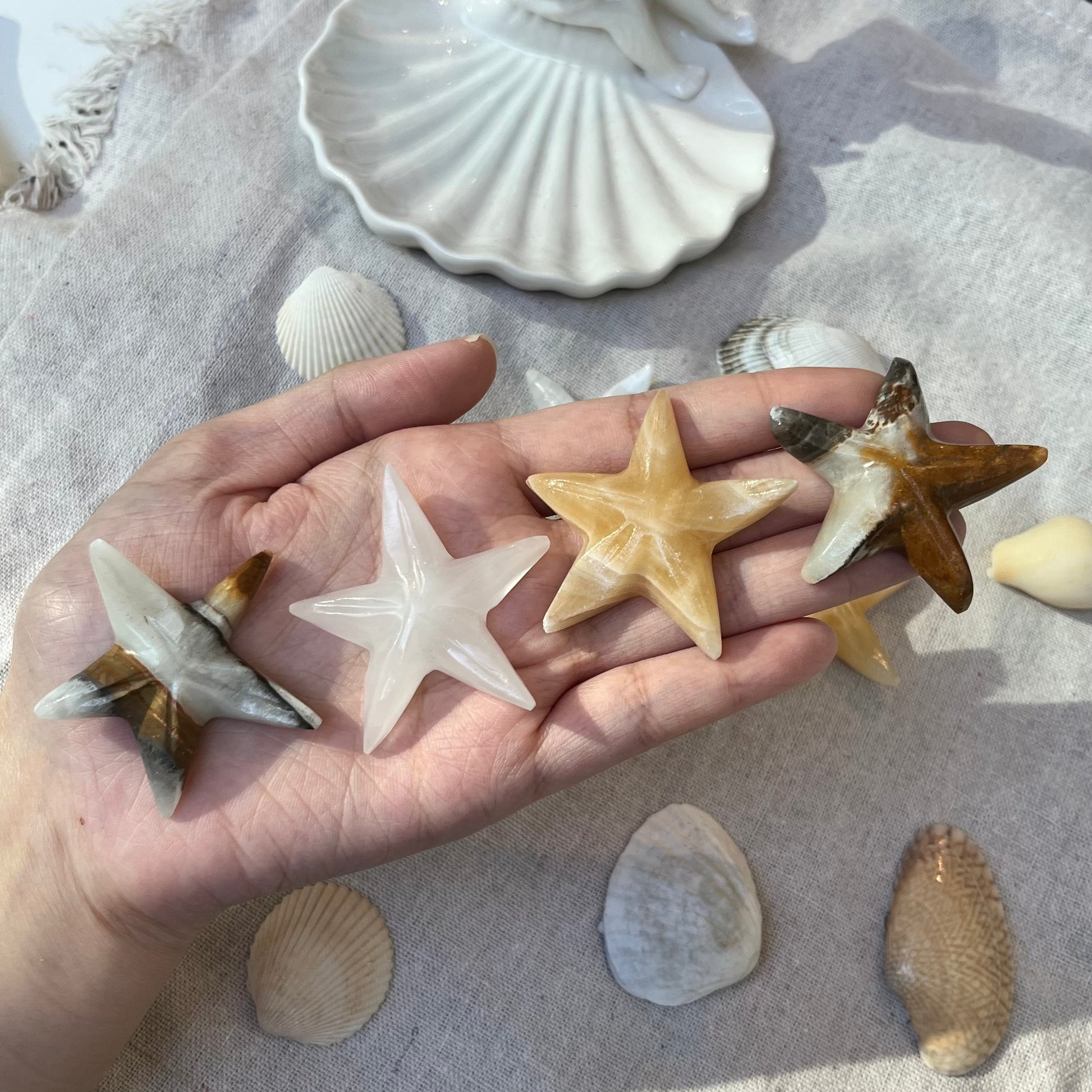 Mexican Onyx Starfish