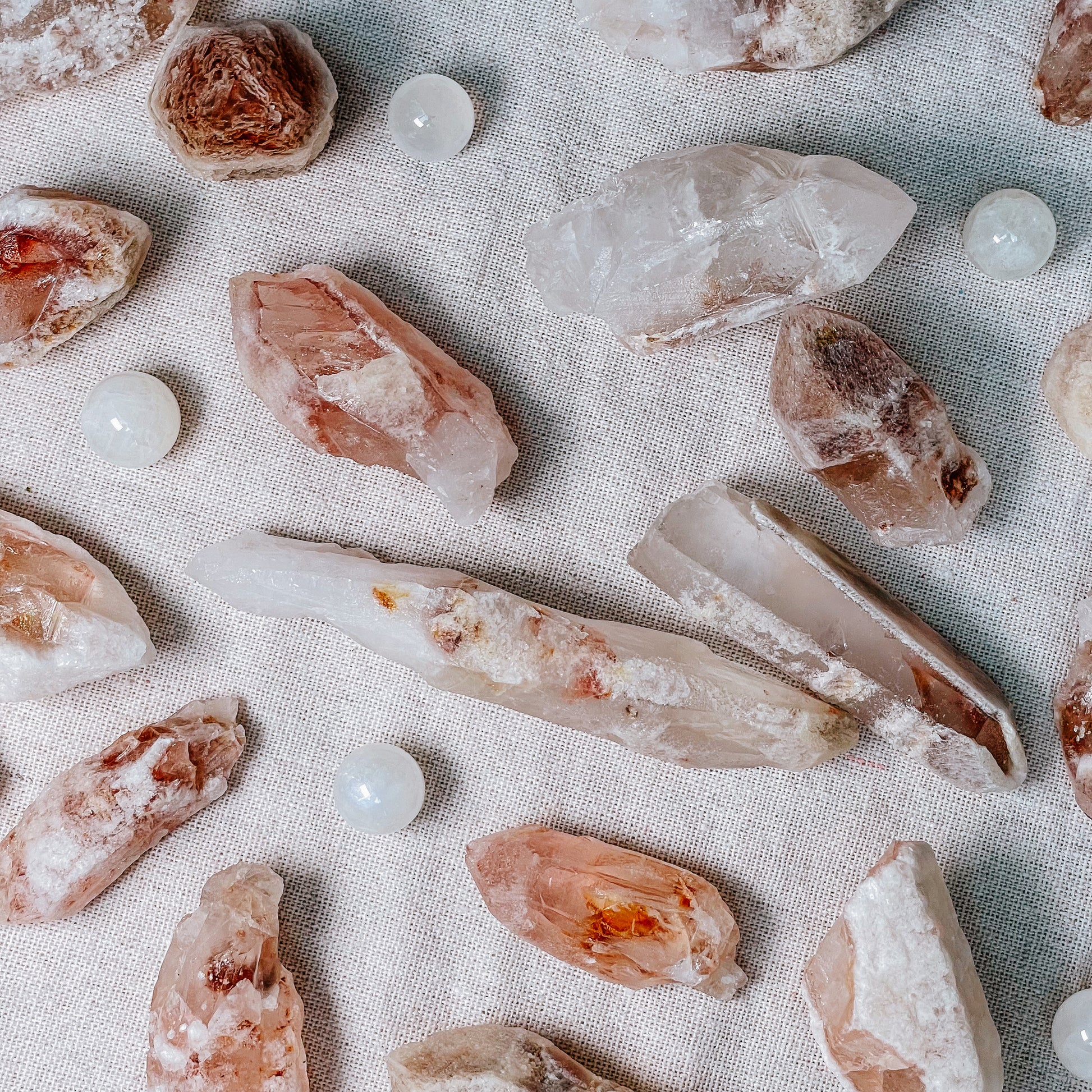 Rare Strawberry Dreamsicle Lemurian