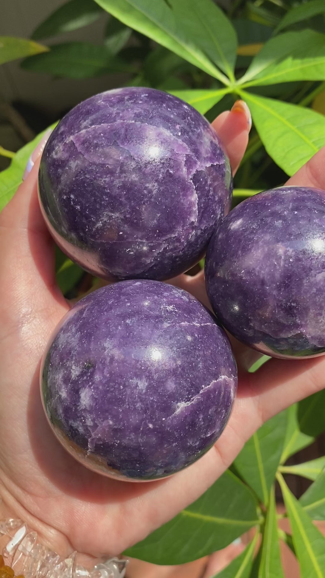 Lepidolite with Mica Galaxy Spheres