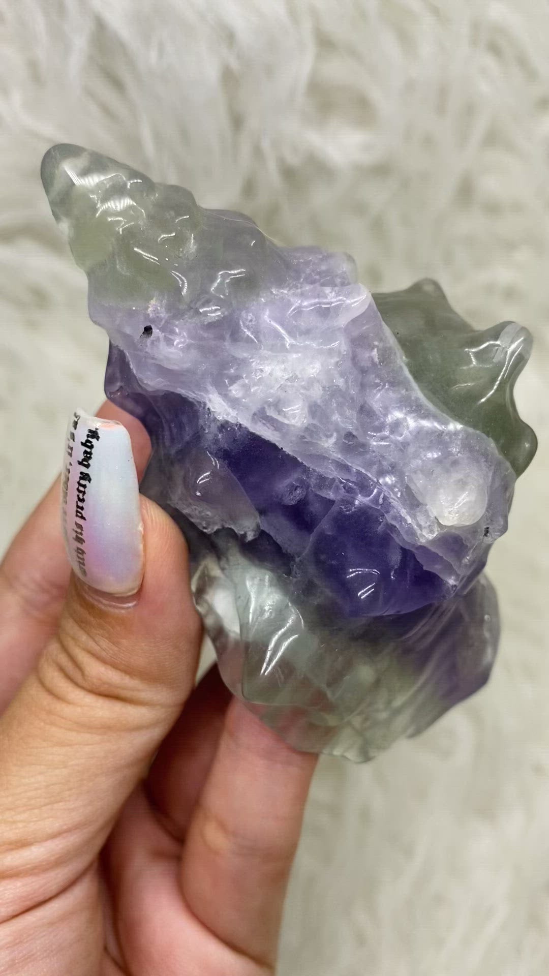 Carved Fluorite Seashells