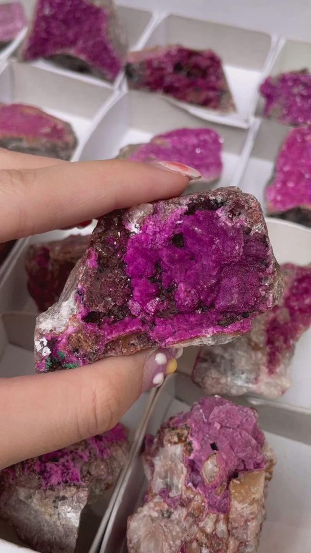 Druzy Cobaltoan Calcite