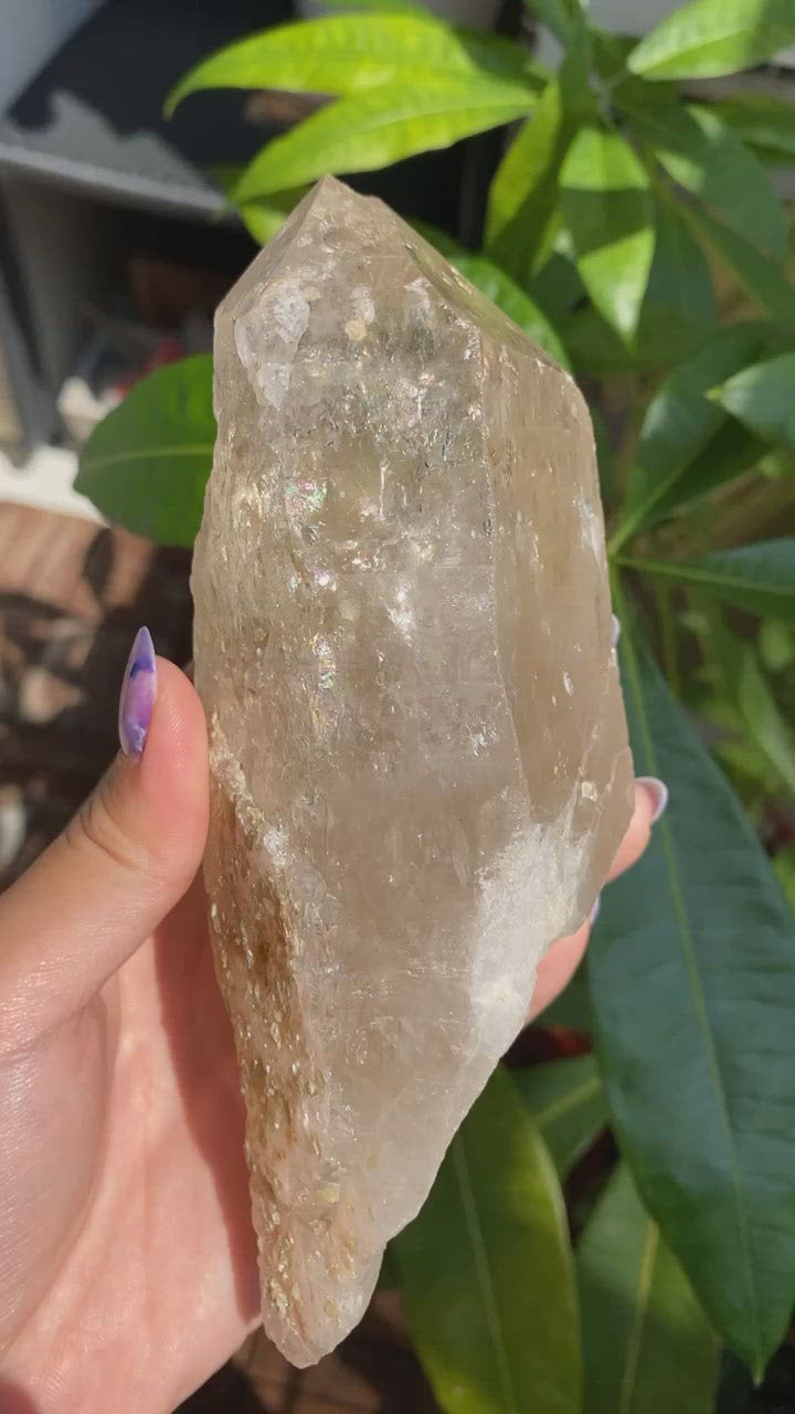 Natural Etched Raw Brazilian Champagne Colored Citrine Point with Yellow Mica
