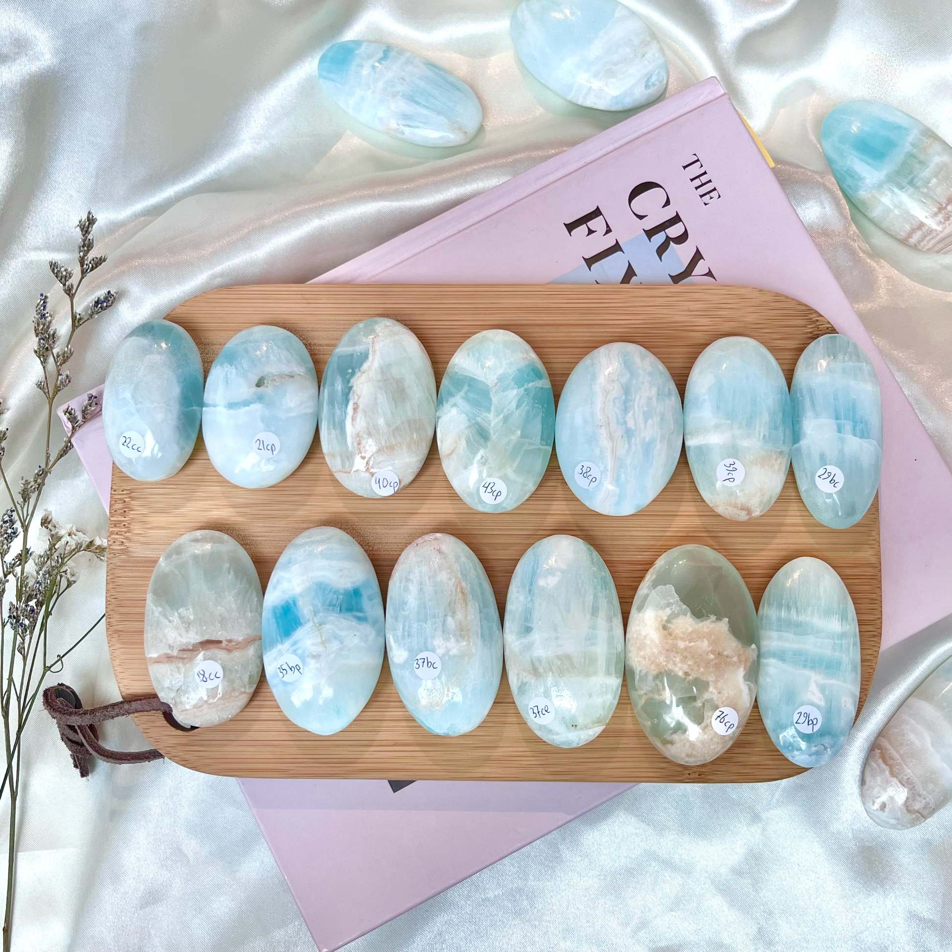Caribbean Calcite Palmstones (Small)
