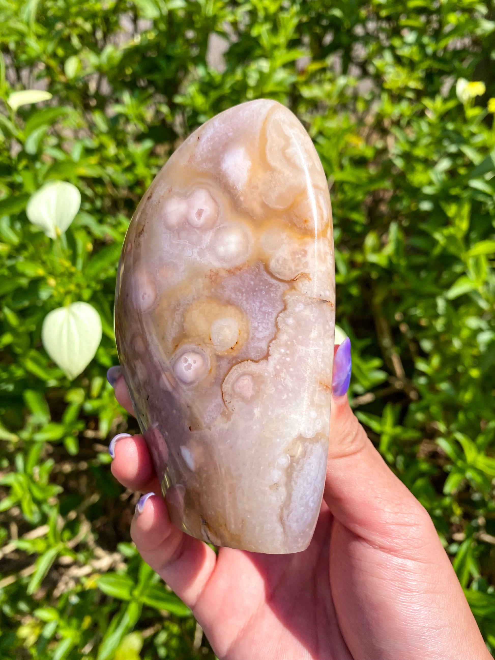 Flower Agate Freeform