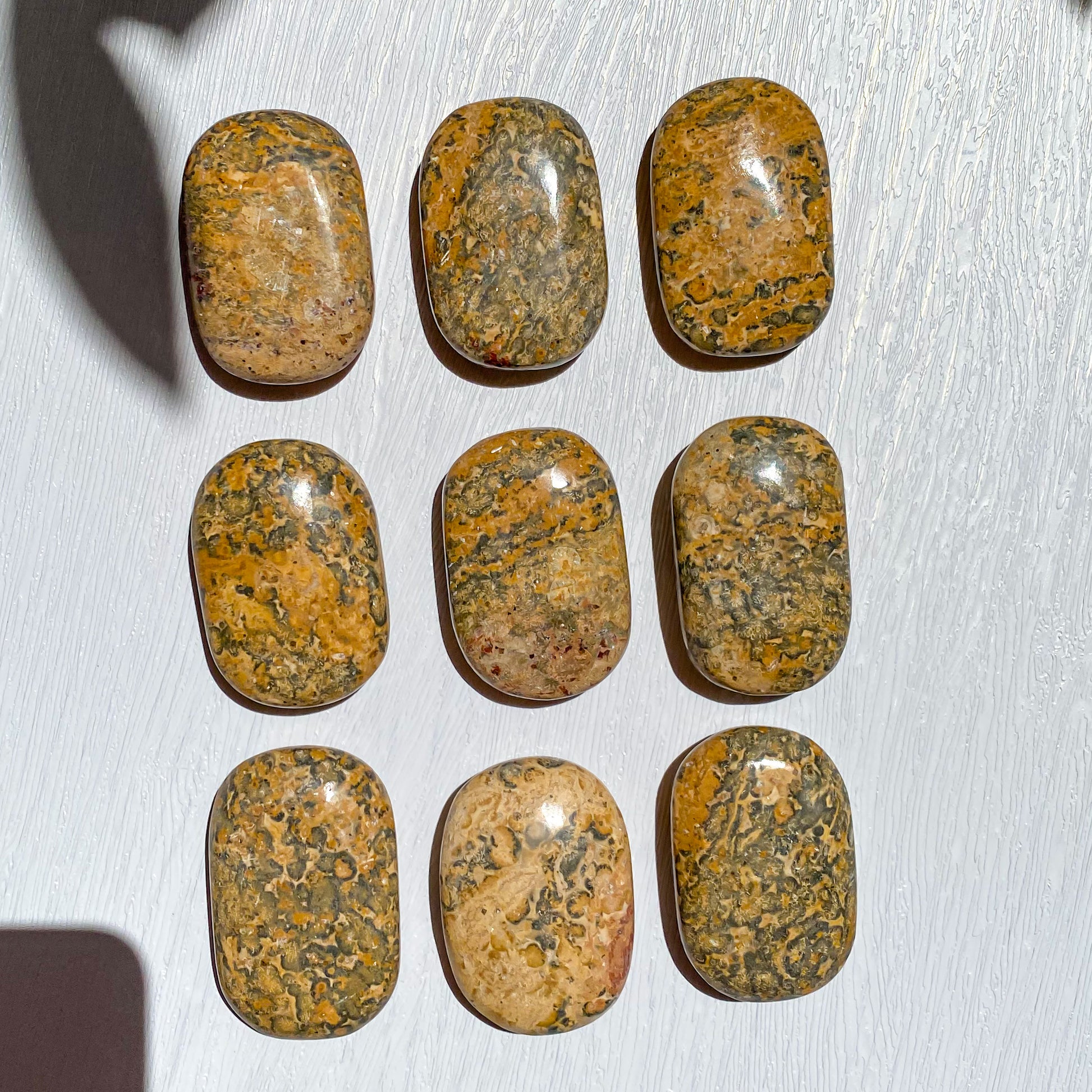 Leopard Skin Jasper Palmstone