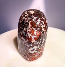 Load image into Gallery viewer, Rare Skeleton Coast Jasper Flower Jasper Freeform A from Namibia Red Brecciated Jasper with Agate
