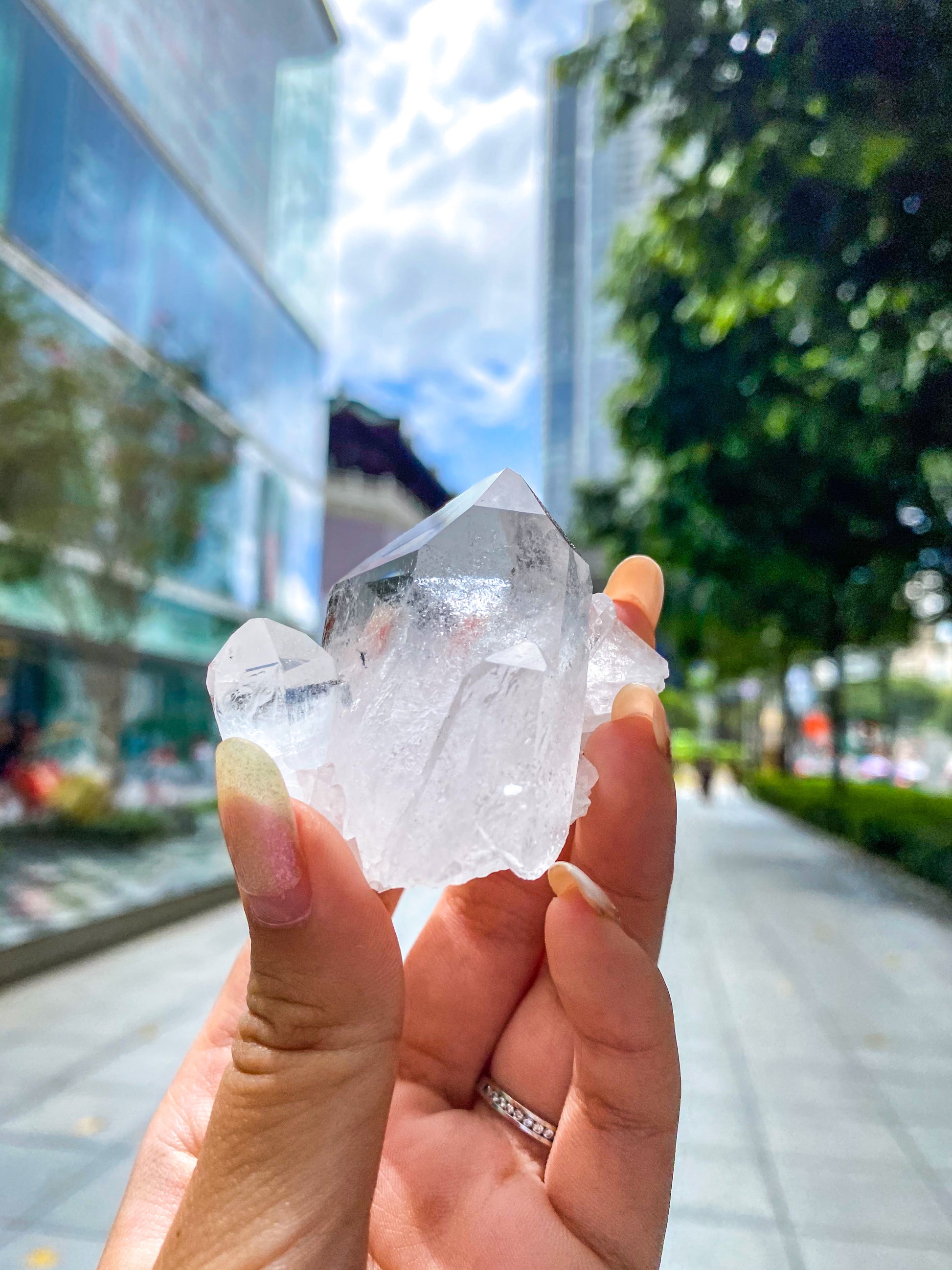 Clear Quartz Cluster