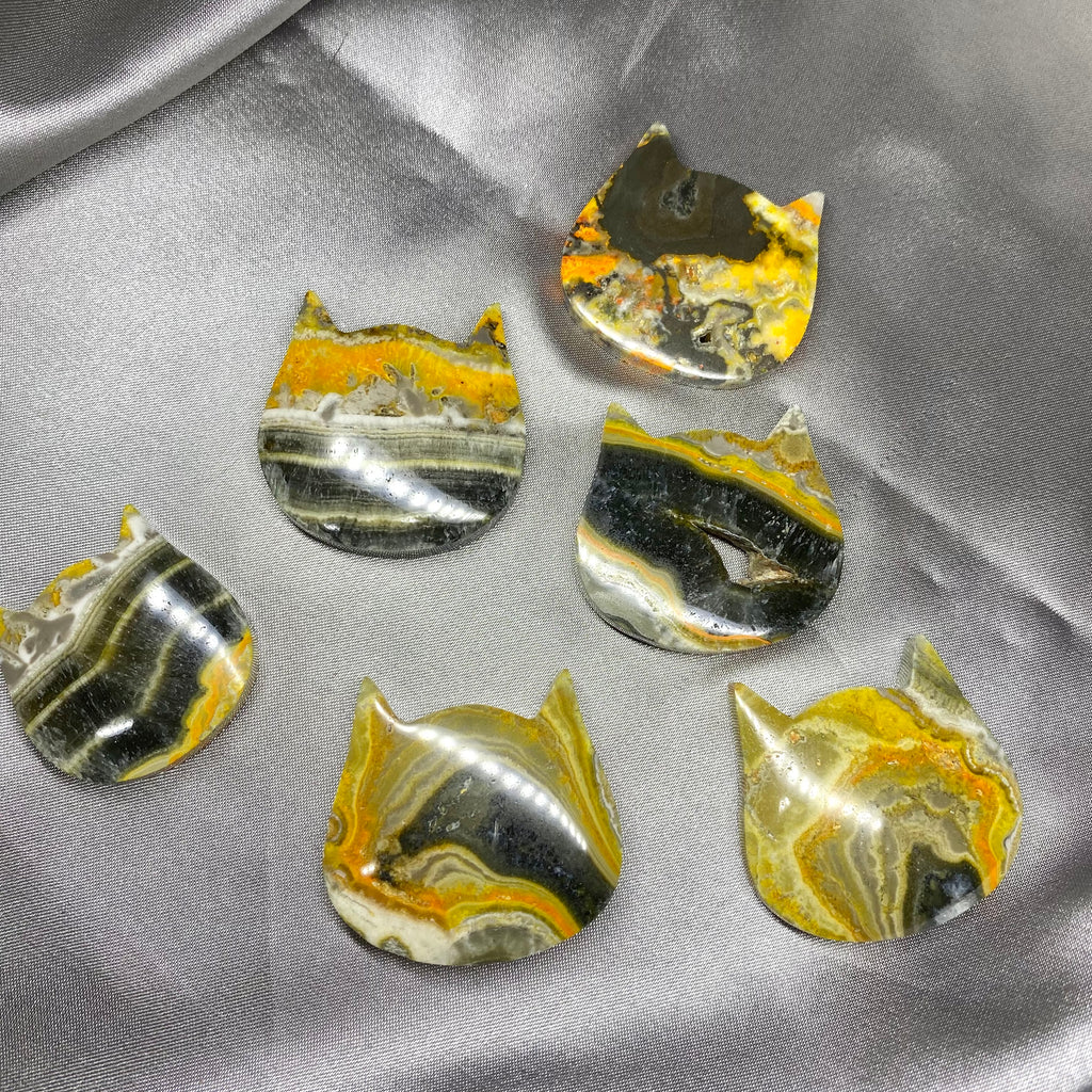 Bumblebee Jasper Cat Head