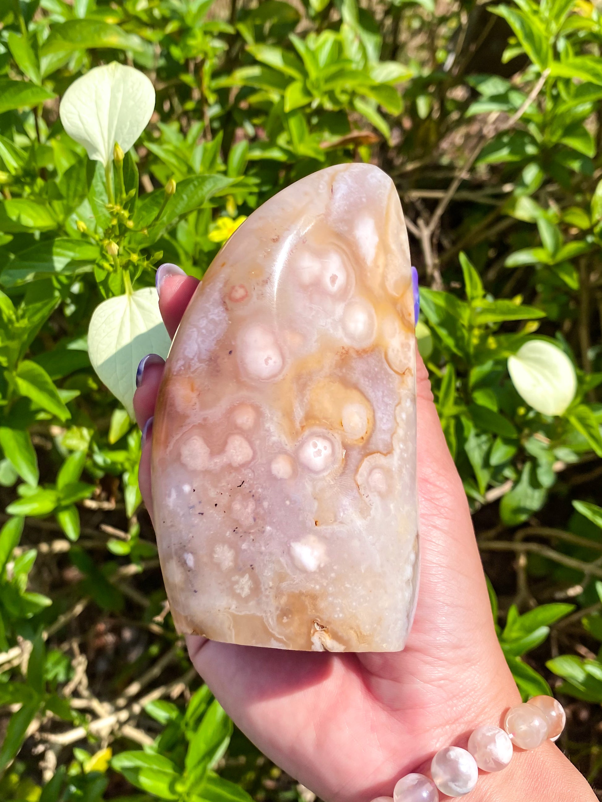 Flower Agate Freeform