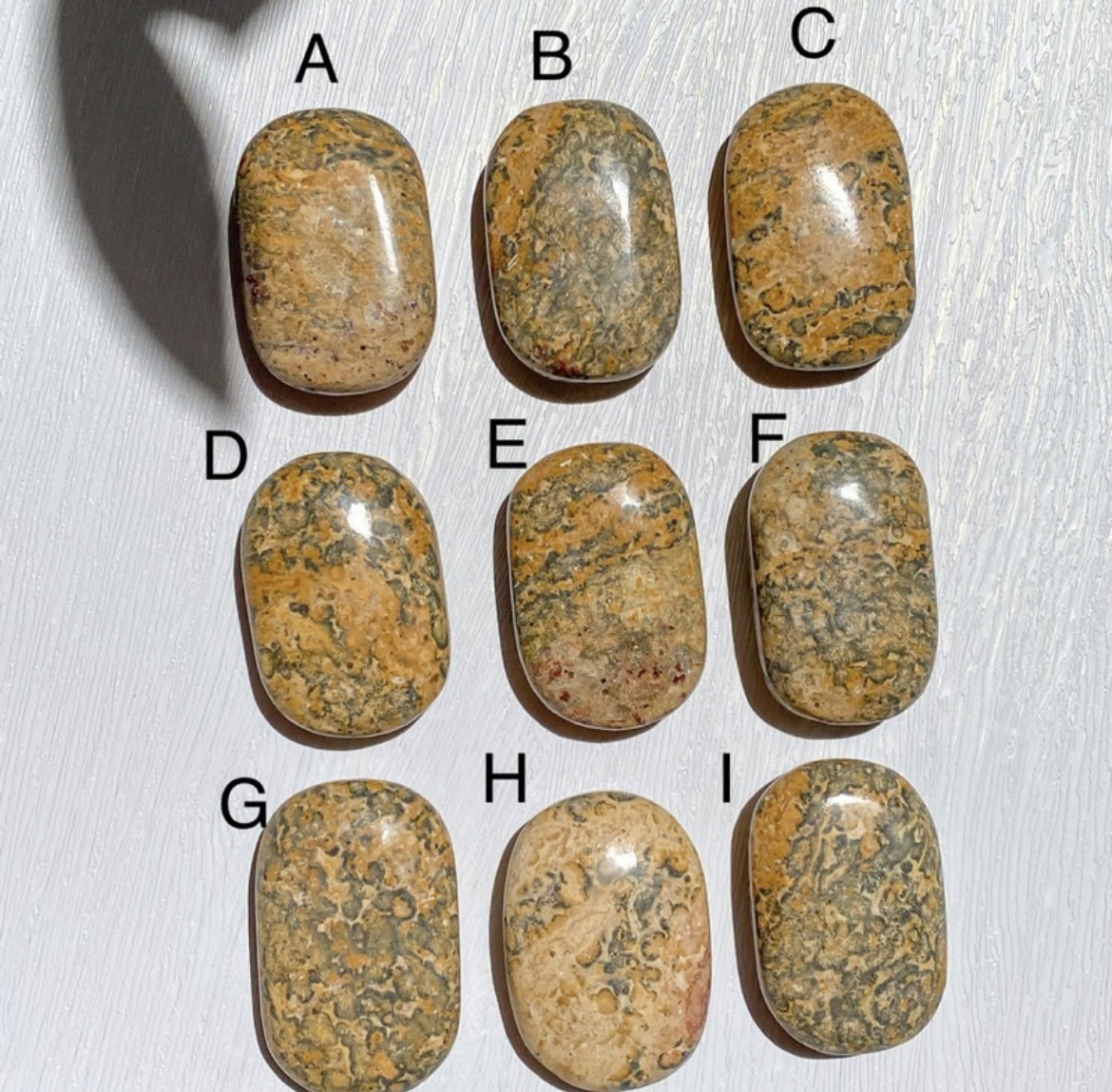 Leopard Skin Jasper Palmstone