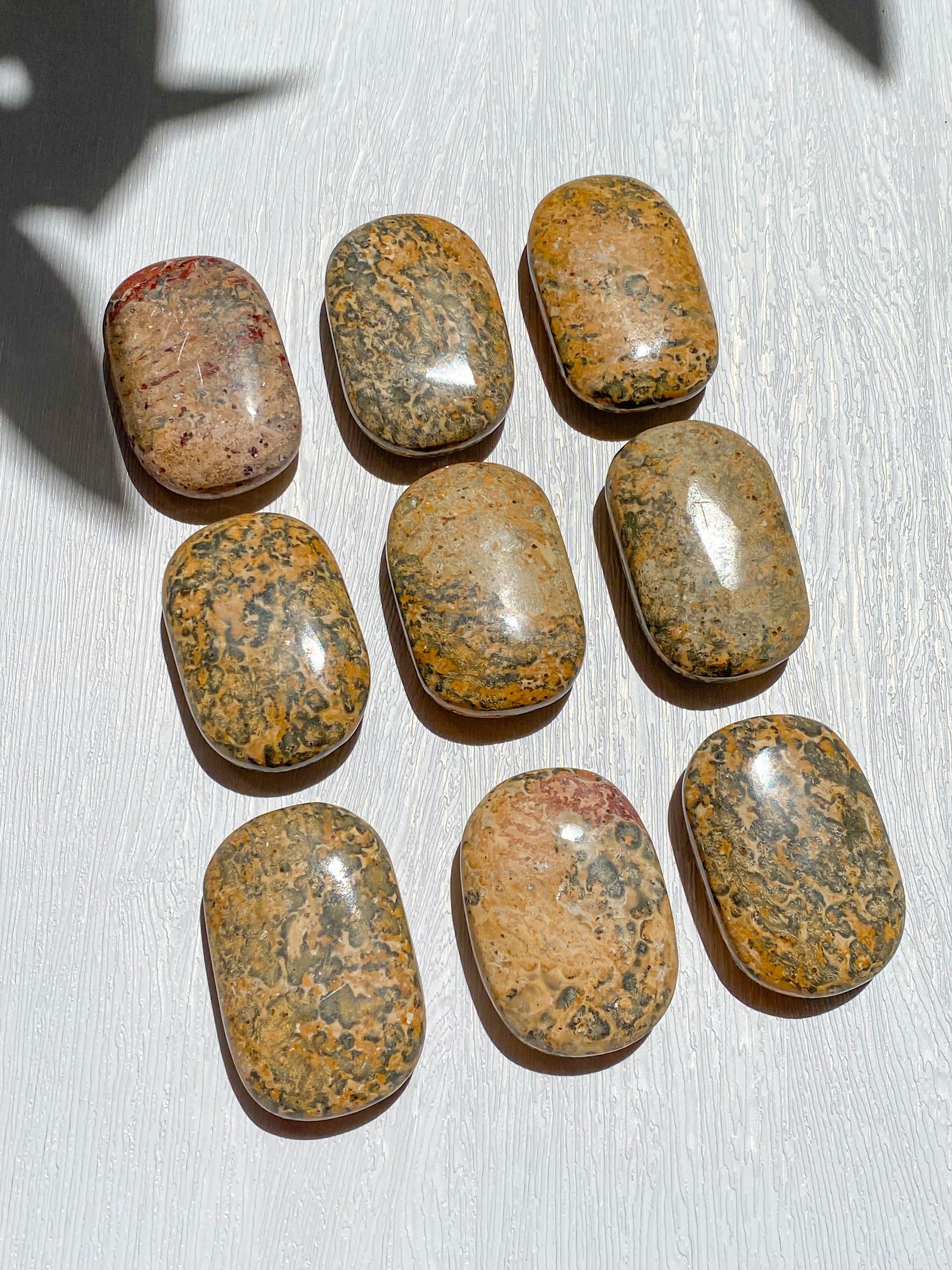 Leopard Skin Jasper Palmstone