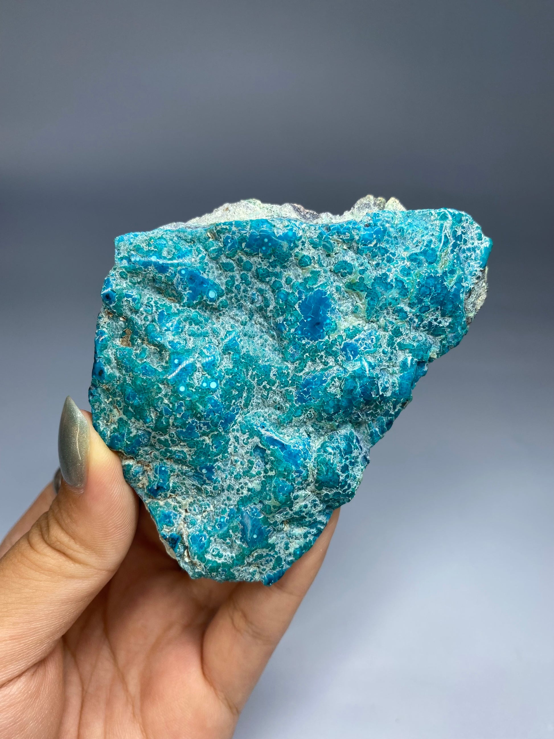 Semi-Polished Chrysocolla on Matrix E
